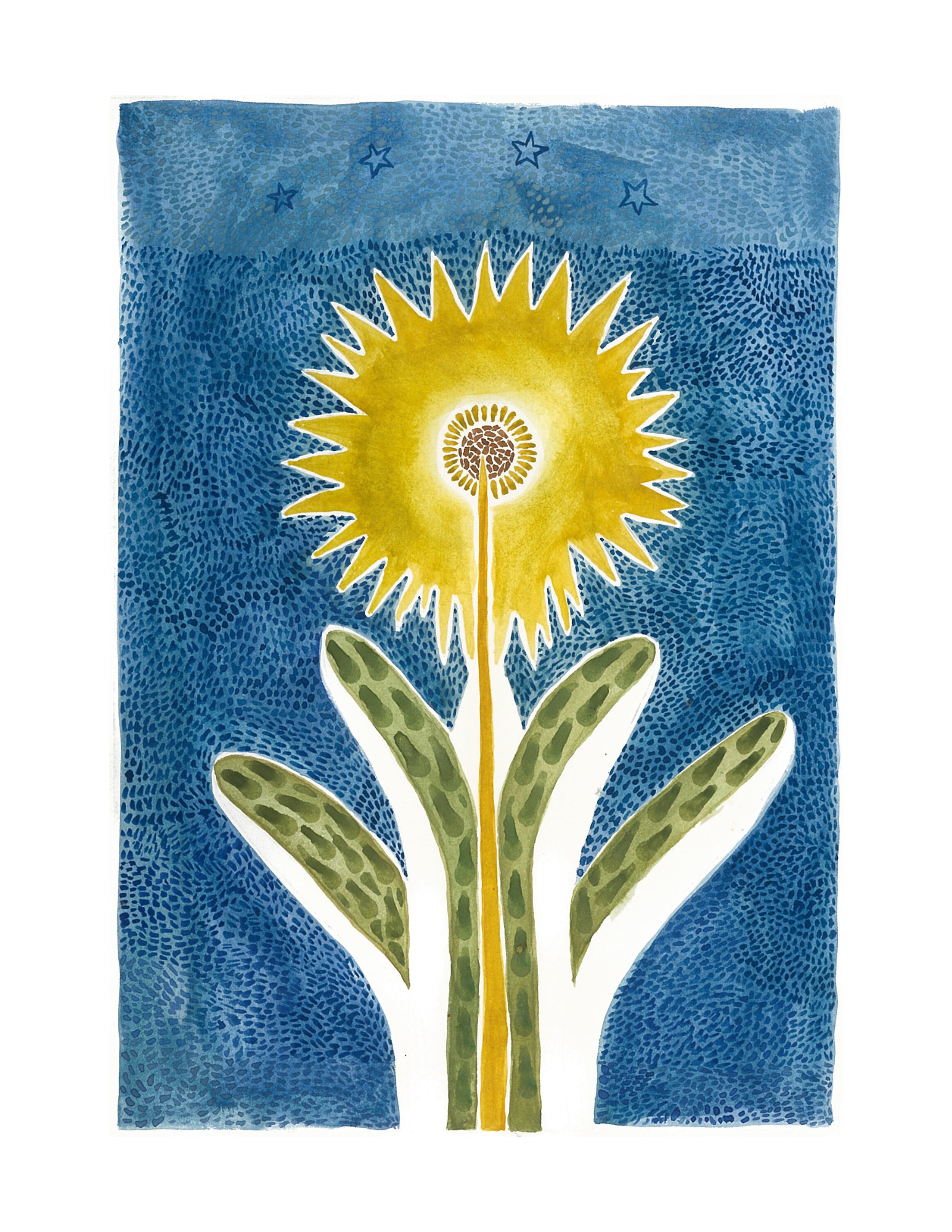 Sky Rose 8.5 x 11 PRINT.png