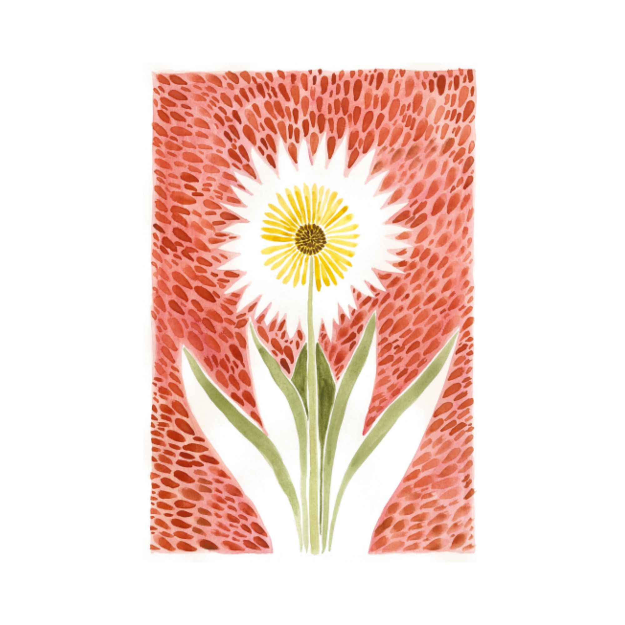 Product Pictures - 1 X 1 (1).png