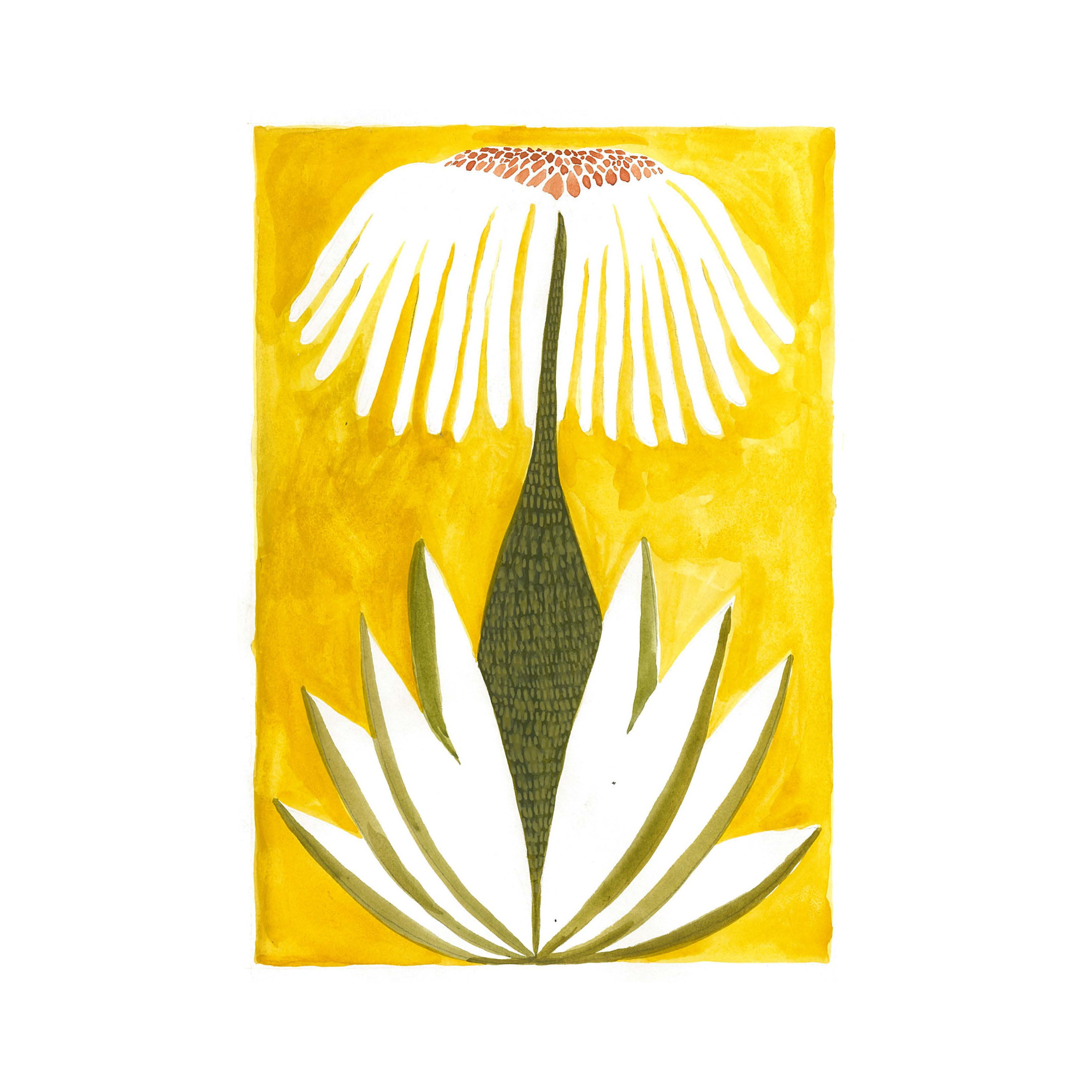 AGAVE Art Print