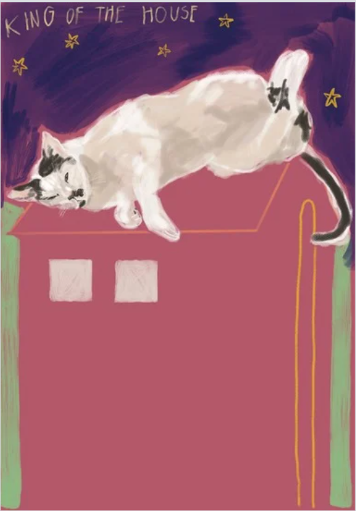 Screenshot 2025-11-26 113531.png