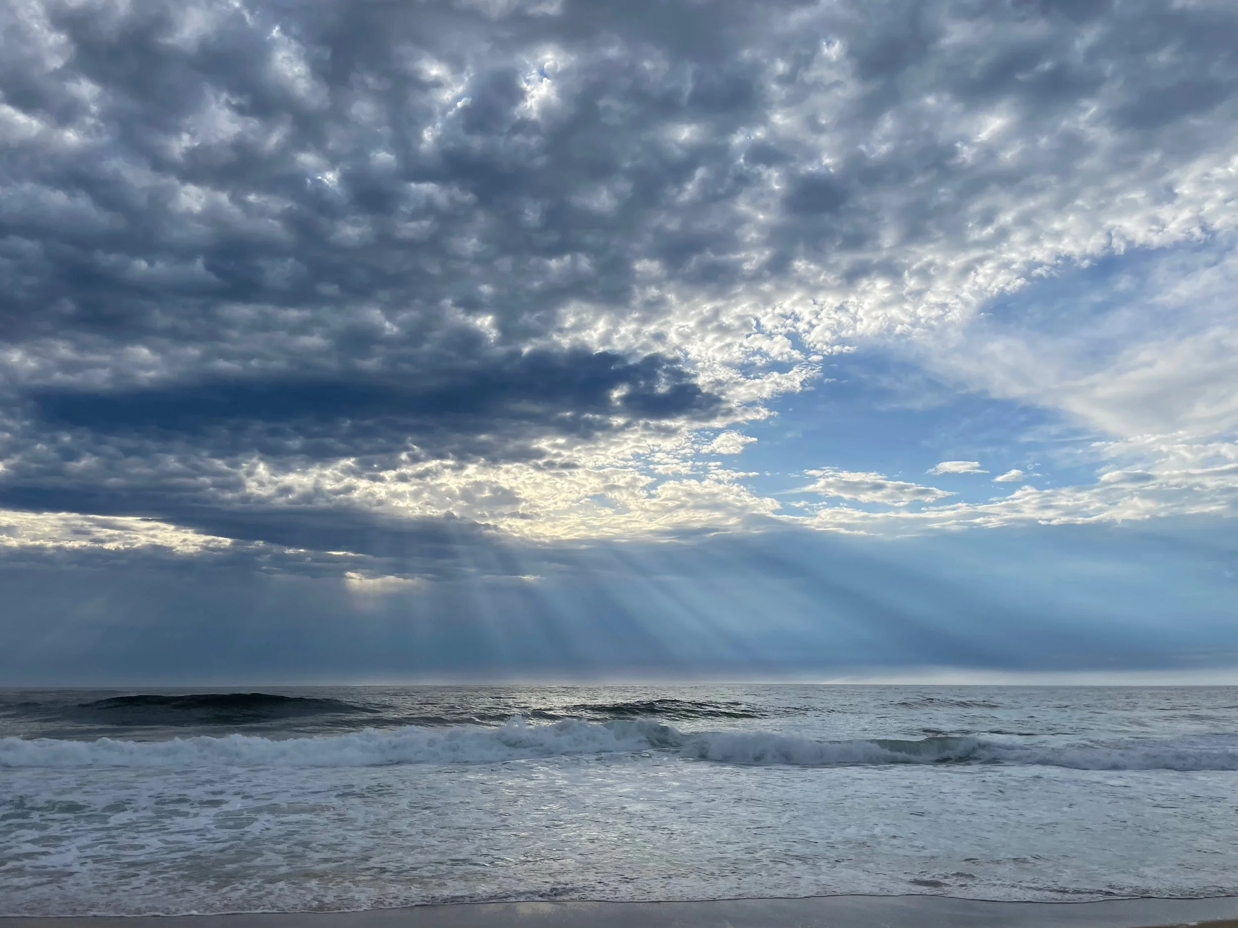 TRAINING BY APPOINTMENT Only