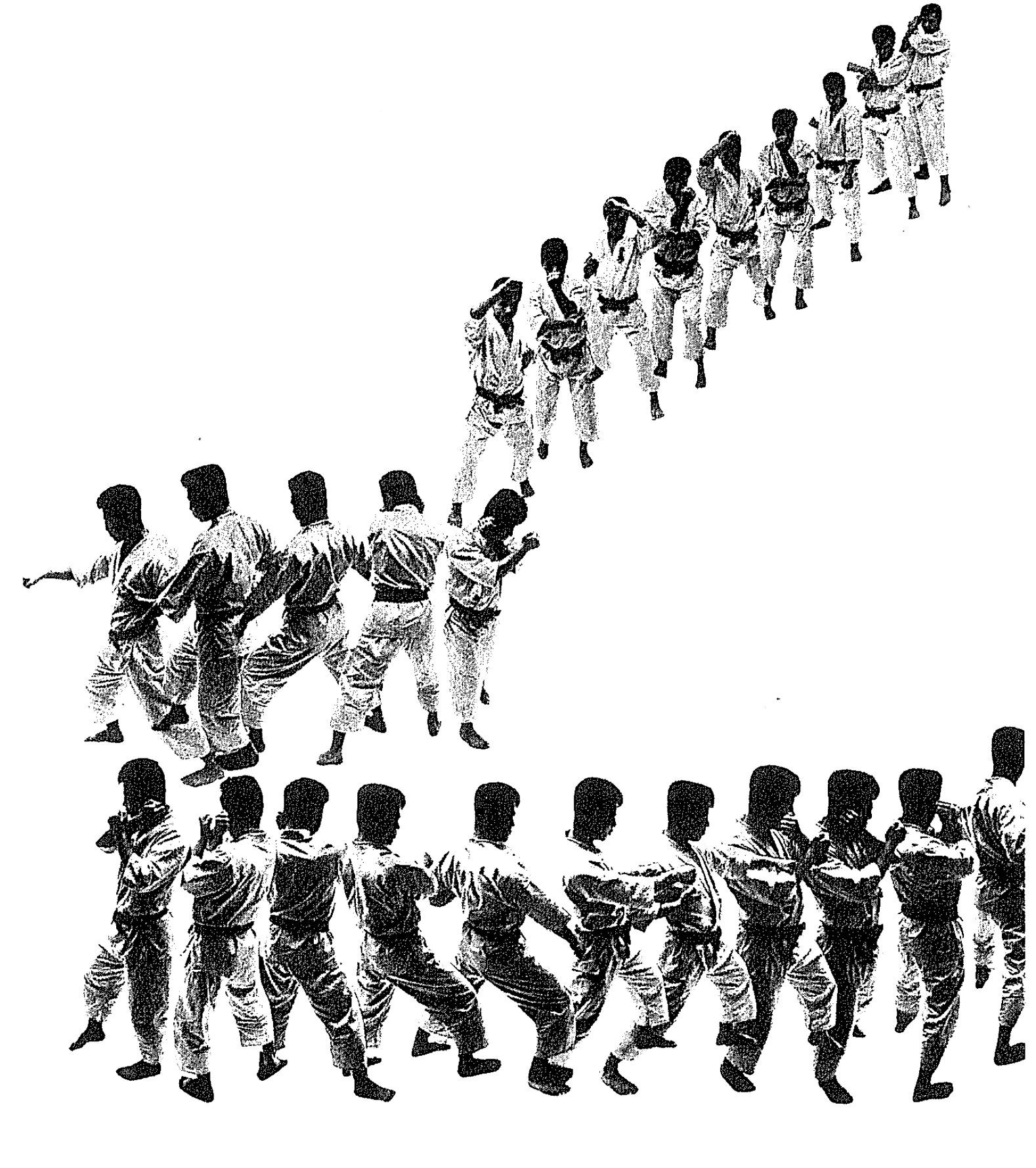 Black and white illustration of three rows of martial artists performing a synchronized kata, facing forward, wearing traditional uniforms with belts.