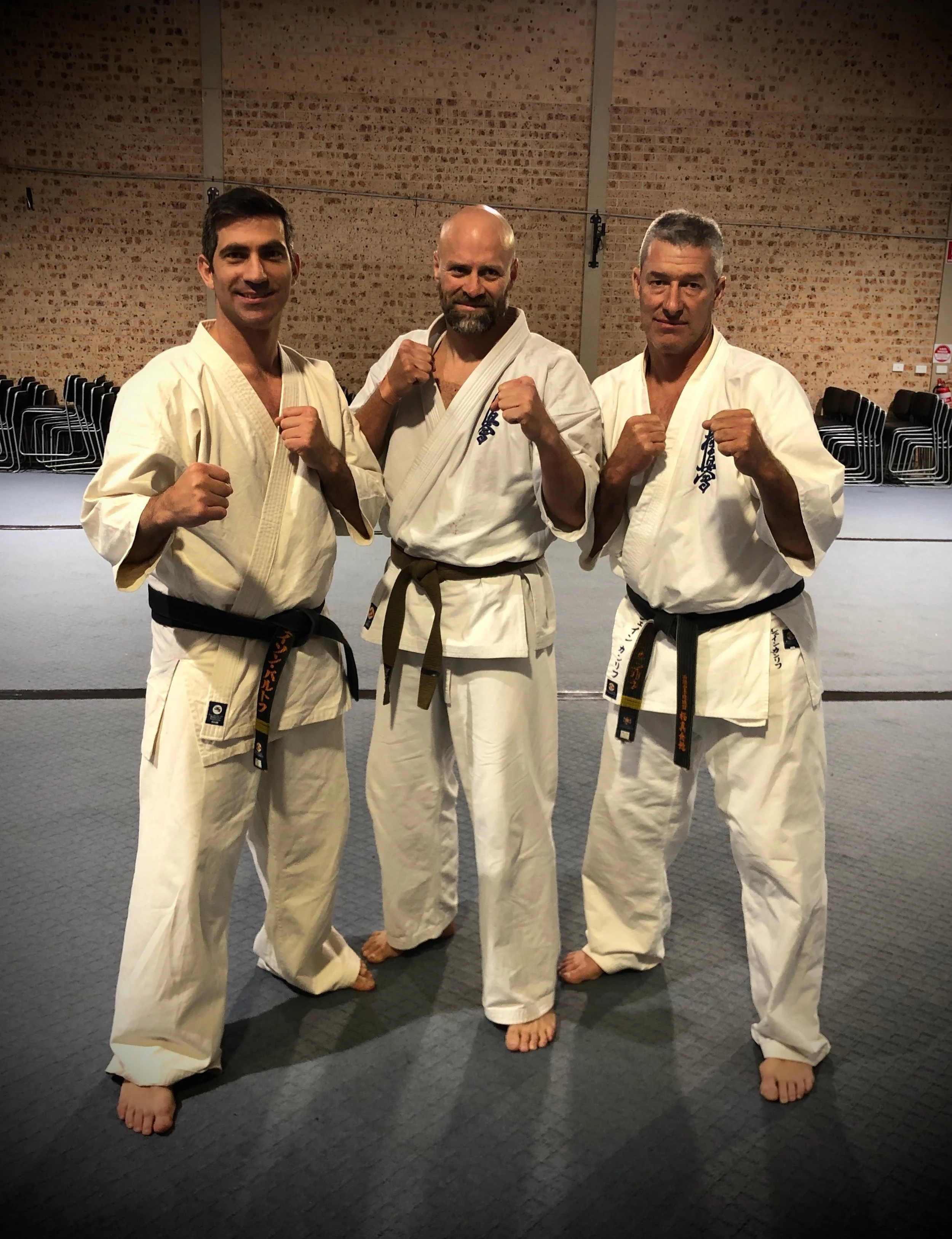 Three men in martial arts uniforms, standing in a dojo with a brick wall background, posing with fists raised.