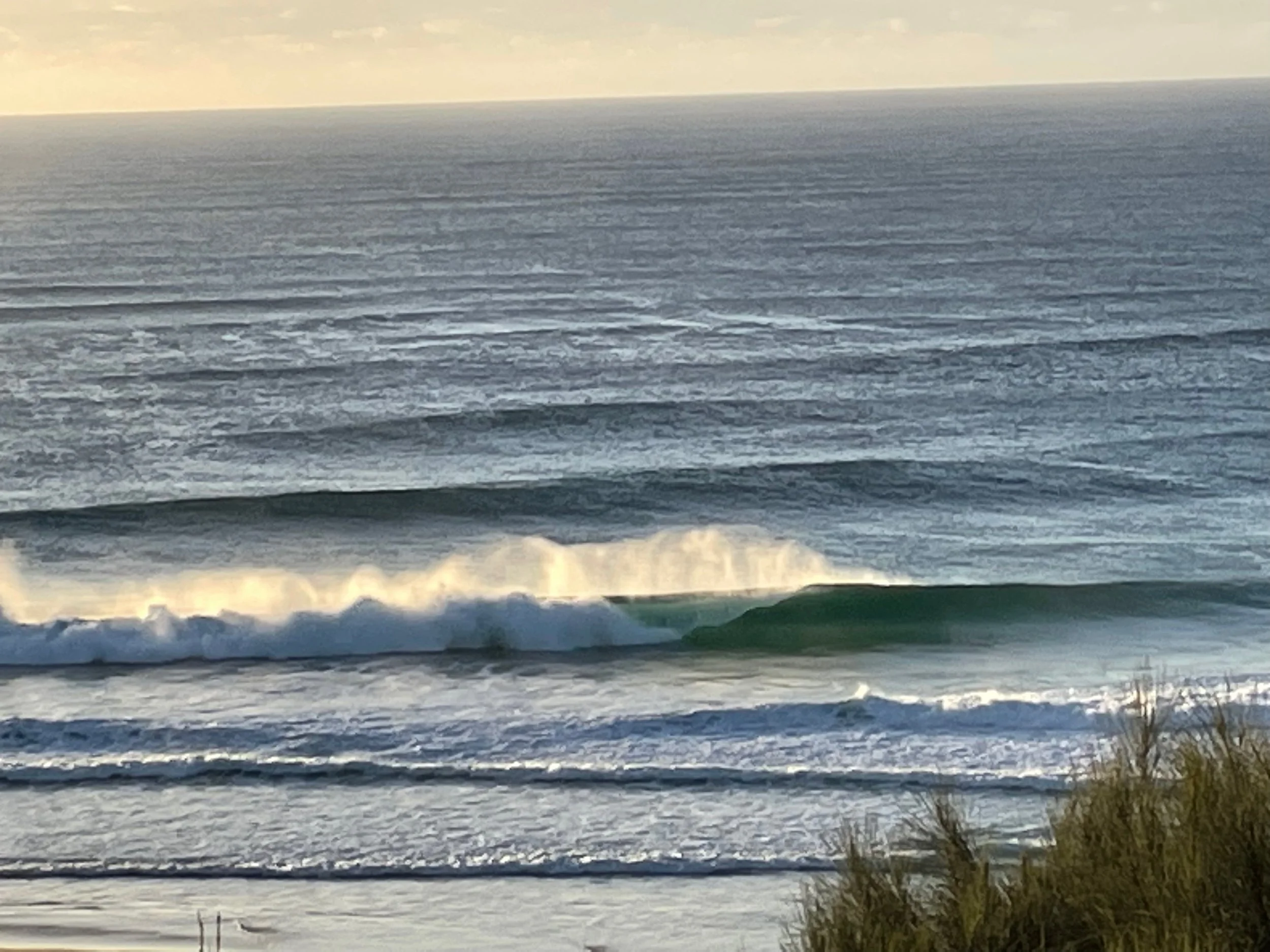 TRAINING BY APPOINTMENT ONLY