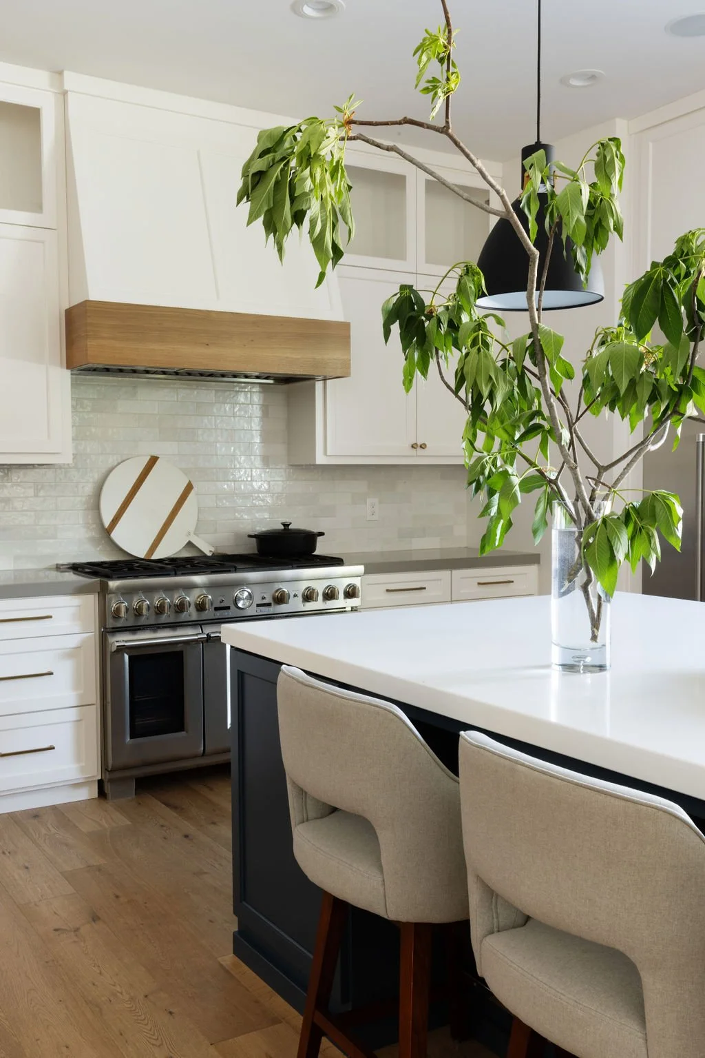 Modern kitchen with white cabinets, a gray island, a large potted plant with green leaves extending over the counter, and a black pendant light overhead.