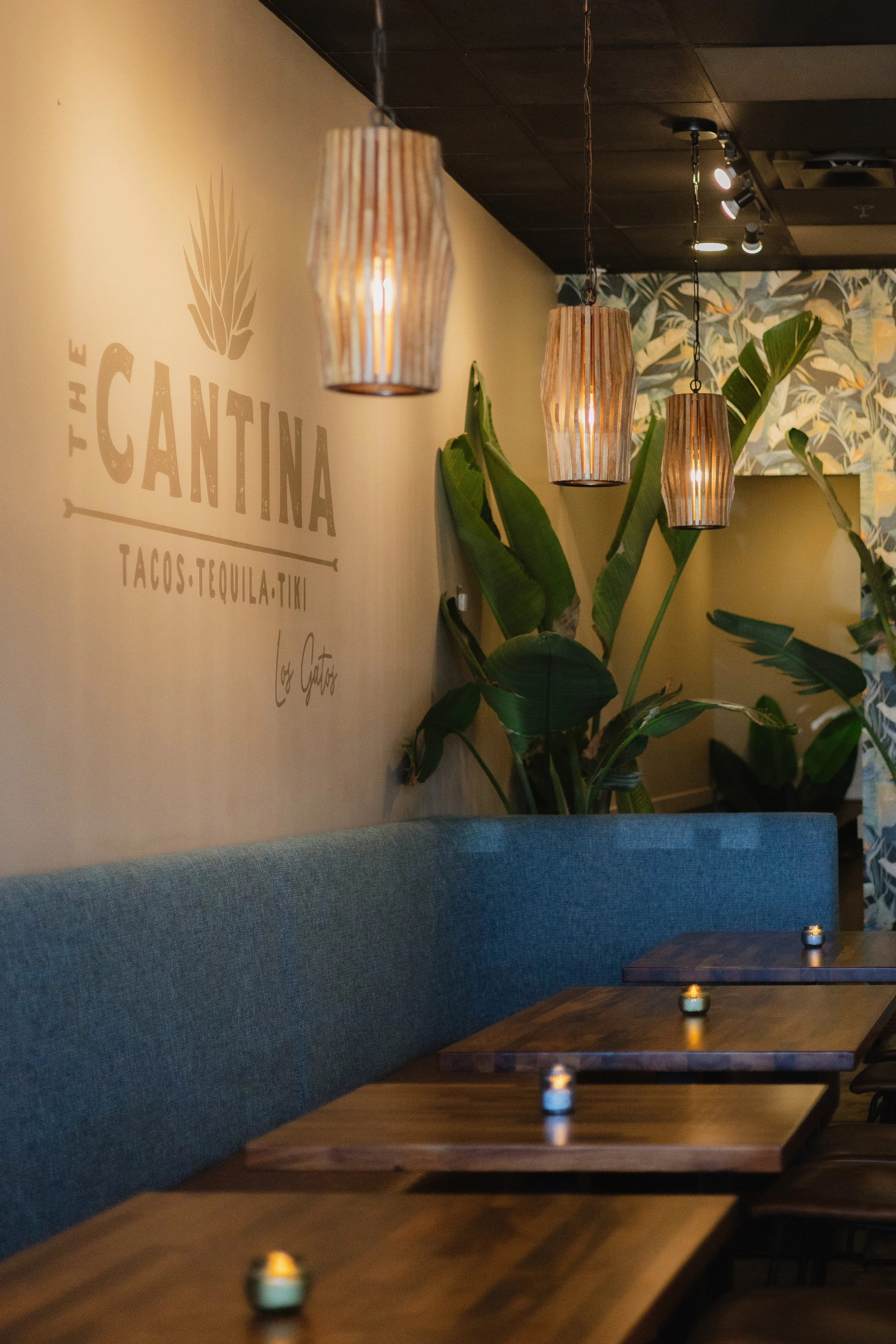 CANTINA COMMERCIAL PROJECT