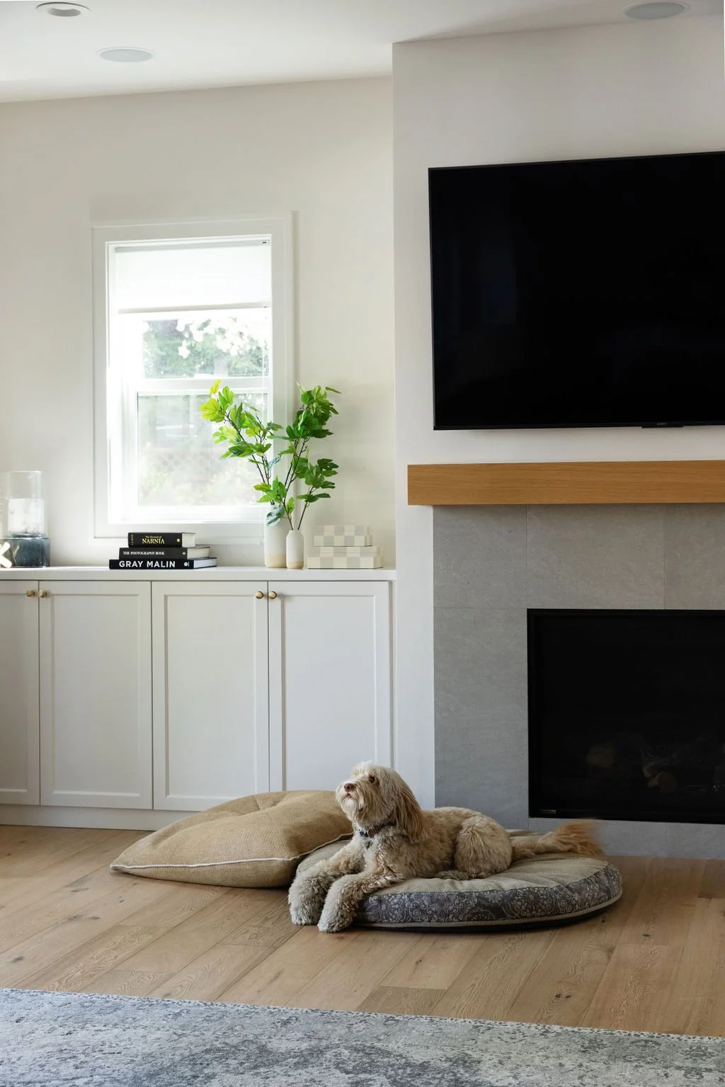 Living room with a small dog lying on a cushion on a wooden floor in front of a fireplace, a white cabinet with books and green plants, a wall-mounted TV, and a window with natural light.