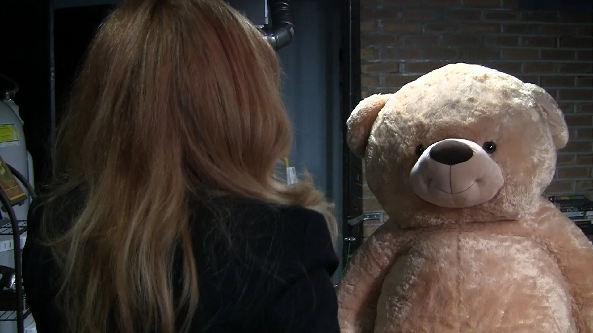 LIBRARIAN PERILS: RETURN OF THE BEARS