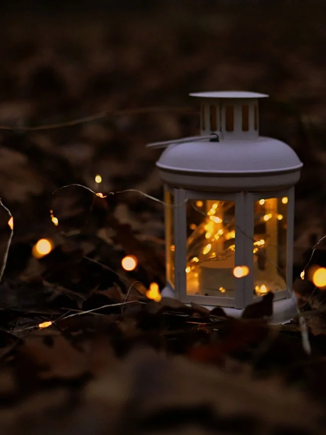 Fairy lights in lantern