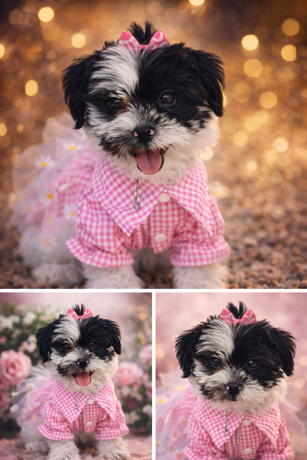 BB-8 - Valentine's Photo