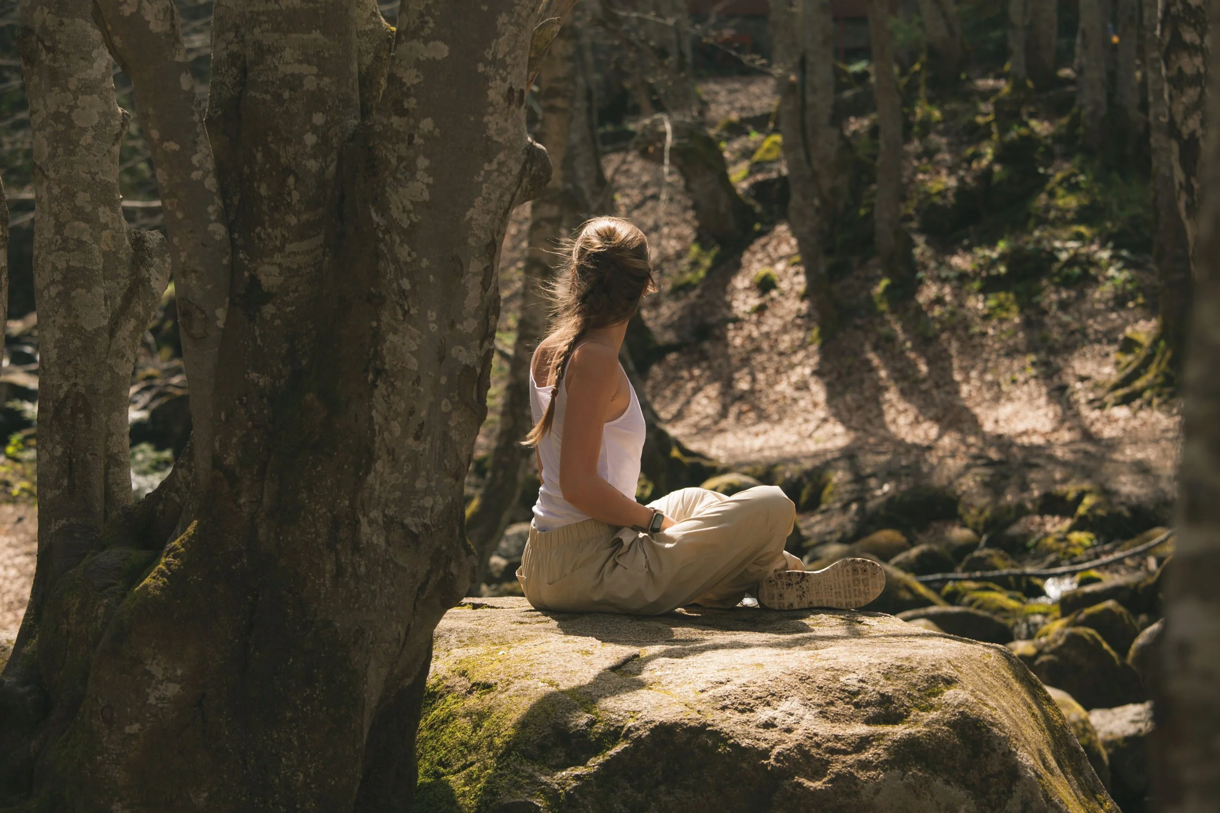 Holistic Trauma Treatment in Charleston: Treating the Brain &amp; Body 