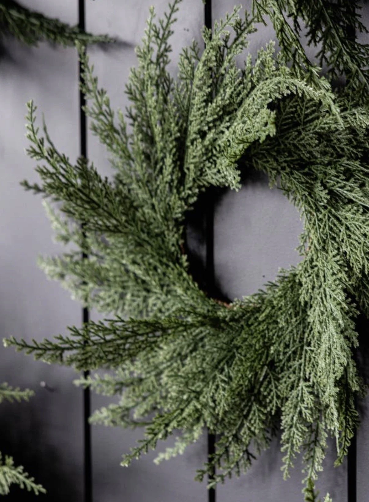 D3171C3B-B0F2-4240-A74F-C1A358477251.jpeg