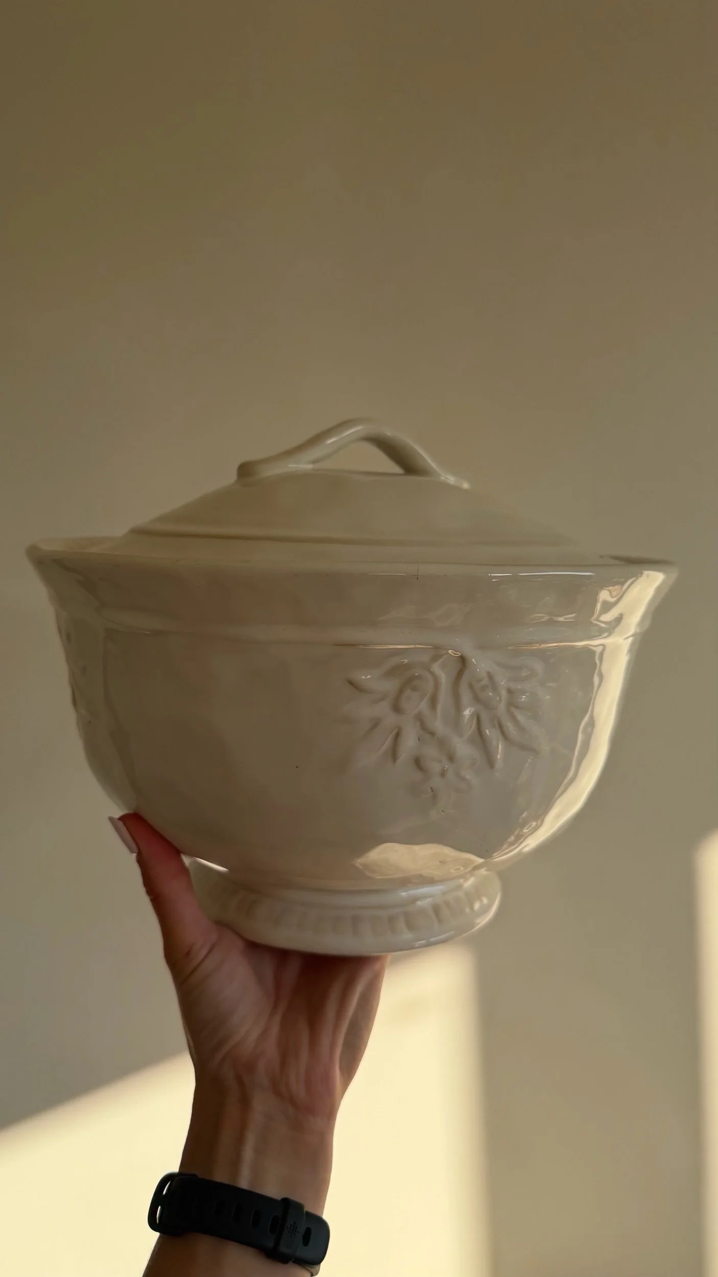 Vintage Pottery Barn Ceramic Tureen