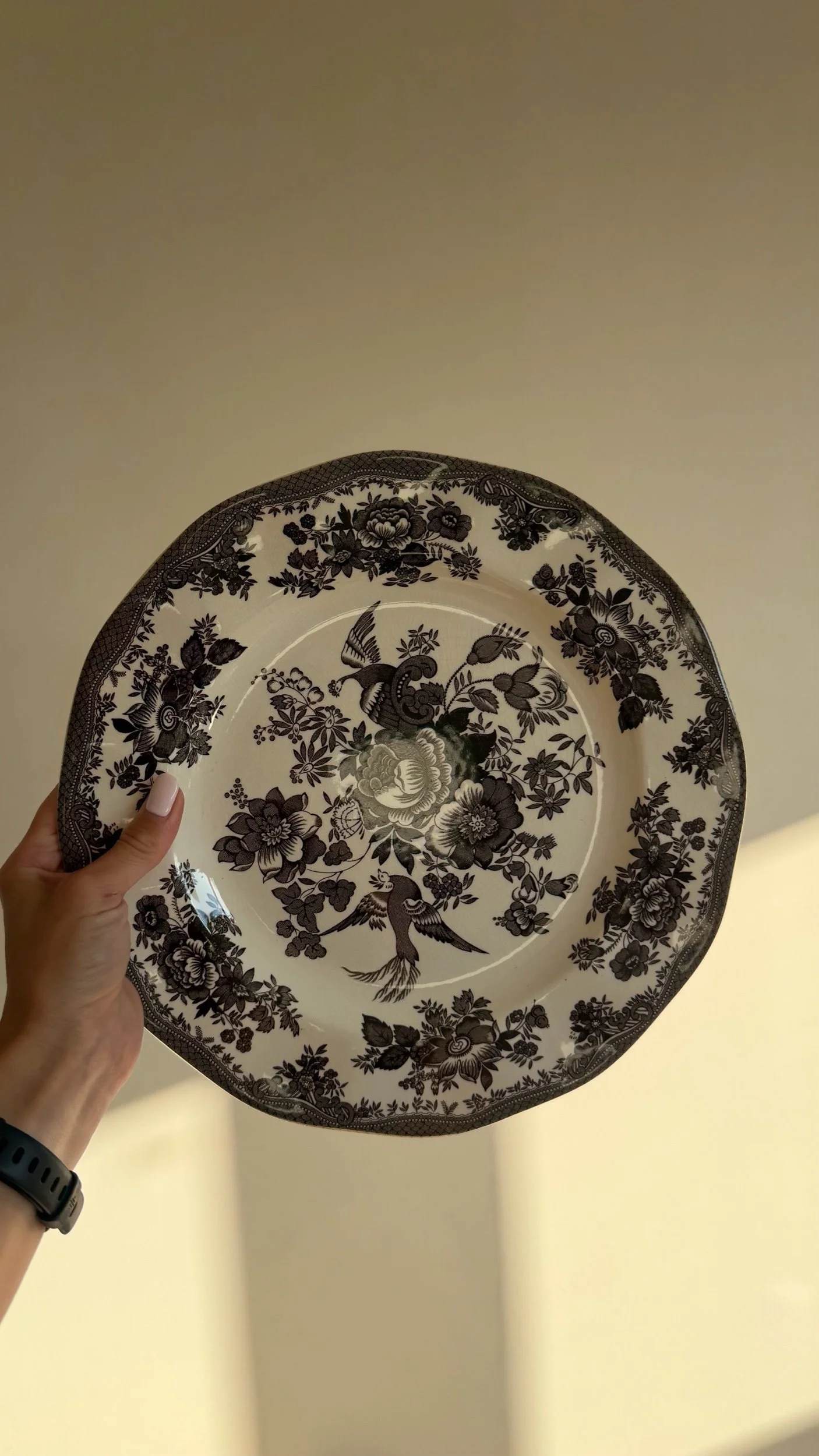 Ironstone Decorative Plate