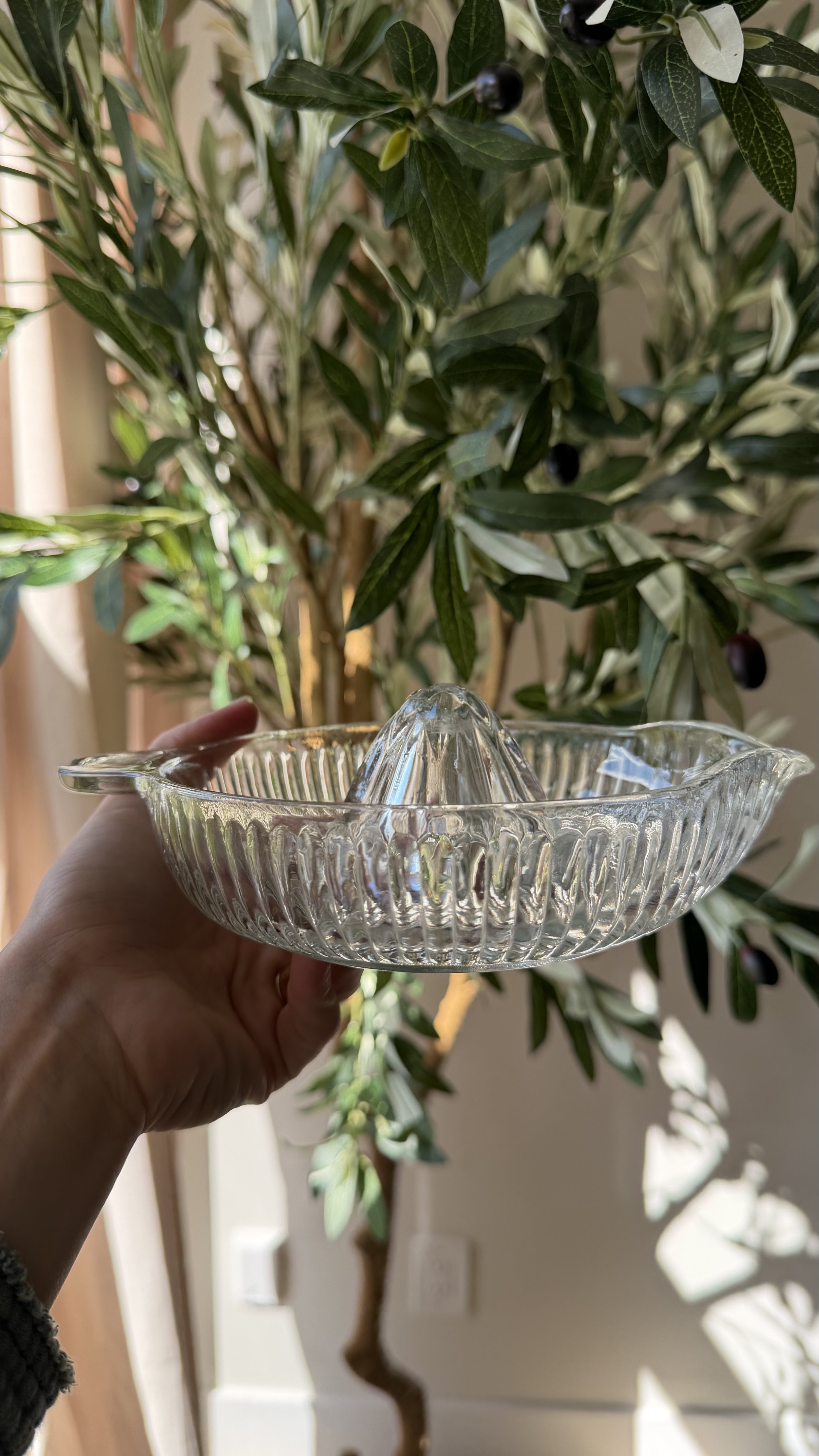 Vintage Ribbed Glass Citrus Juicer – Pressed Glass