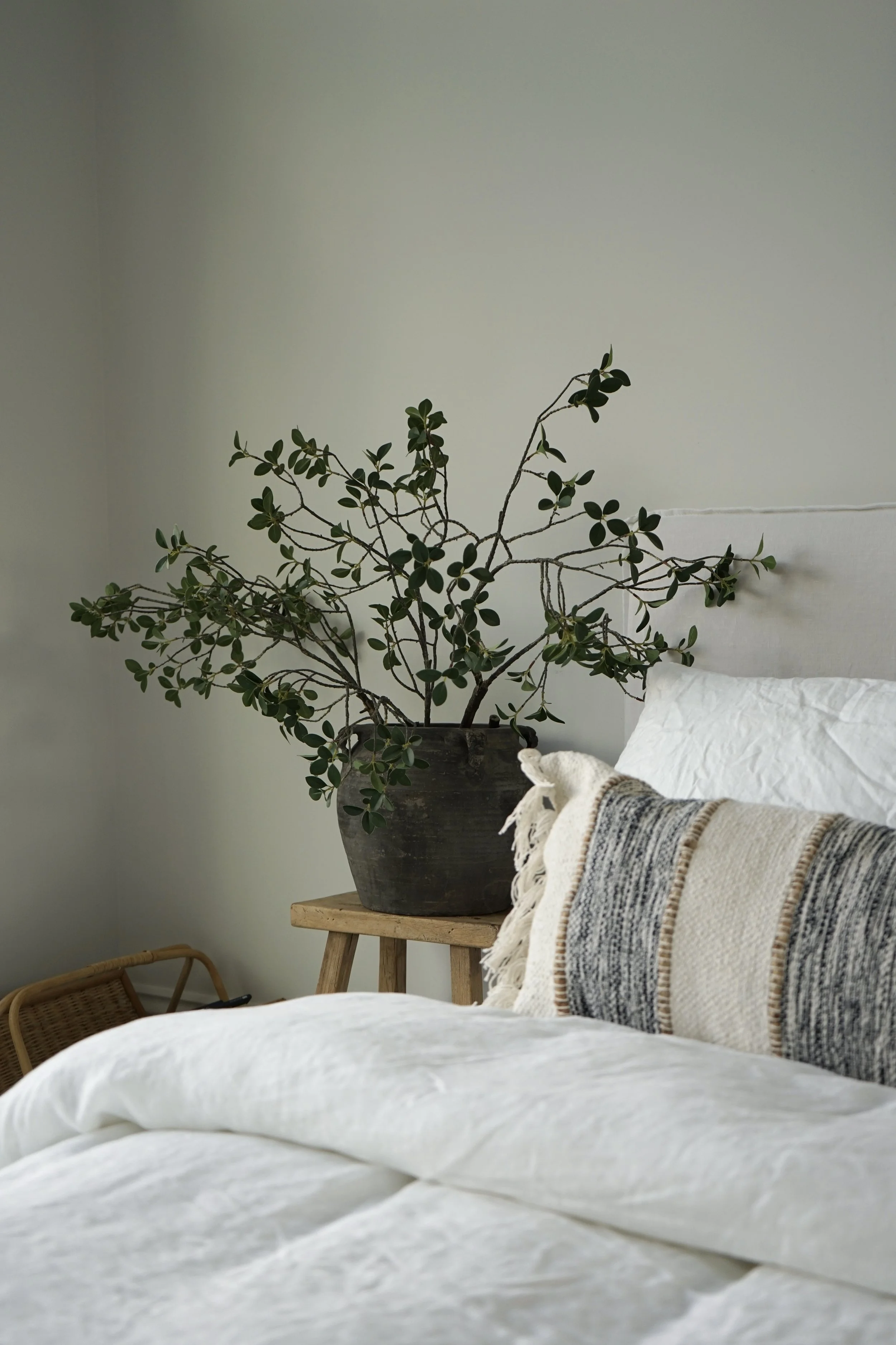 Interior bedroom with a white bed, decorative pillow, and a potted leafy plant on a small wooden table.