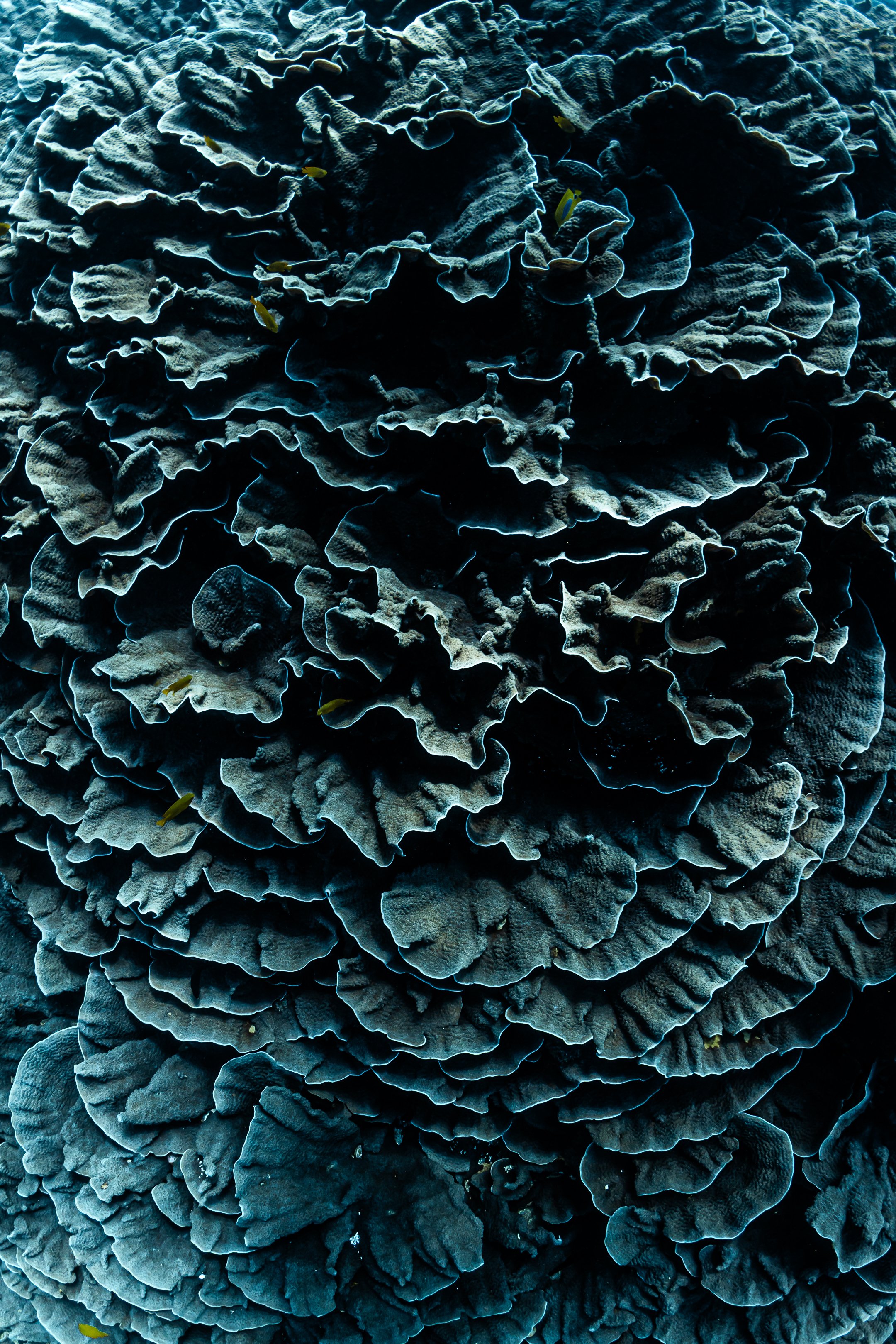20260710_SF_WS_MA_5278.jpg