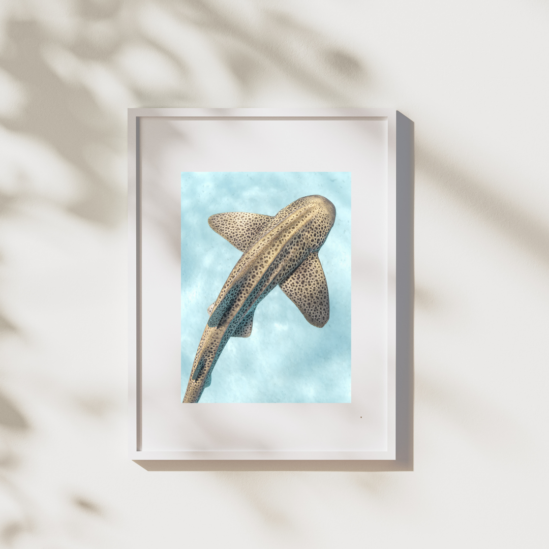 LEOPARD SHARK PRINT