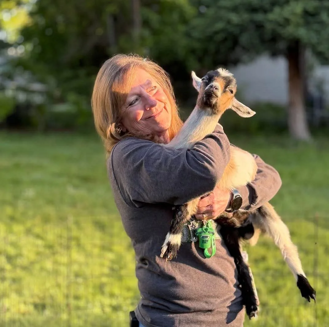 A woman holding a baby goat outdoors during golden hour, with trees and grass in the background.