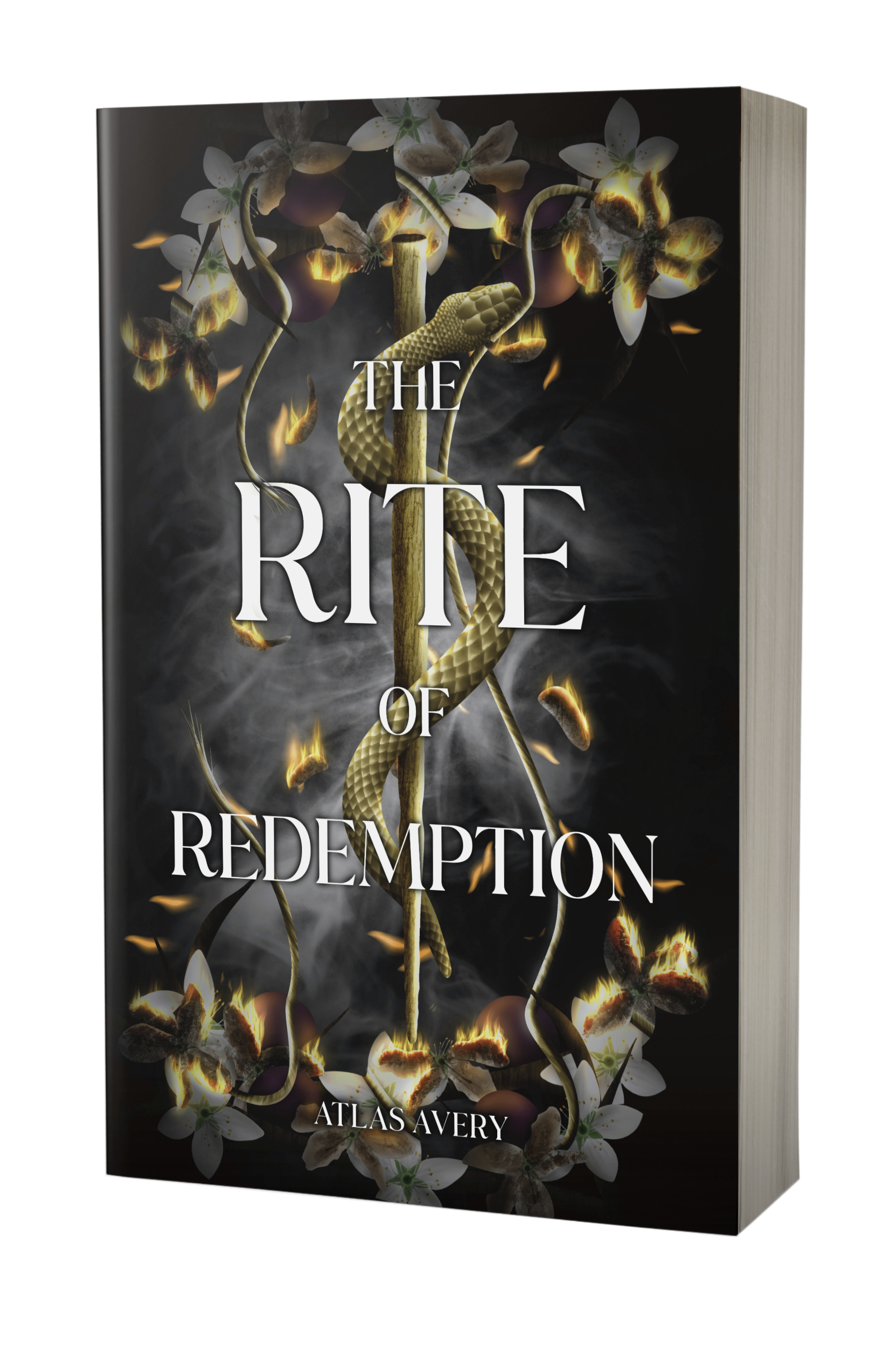 The Rite of Redemption (Paperback) 3 of 3