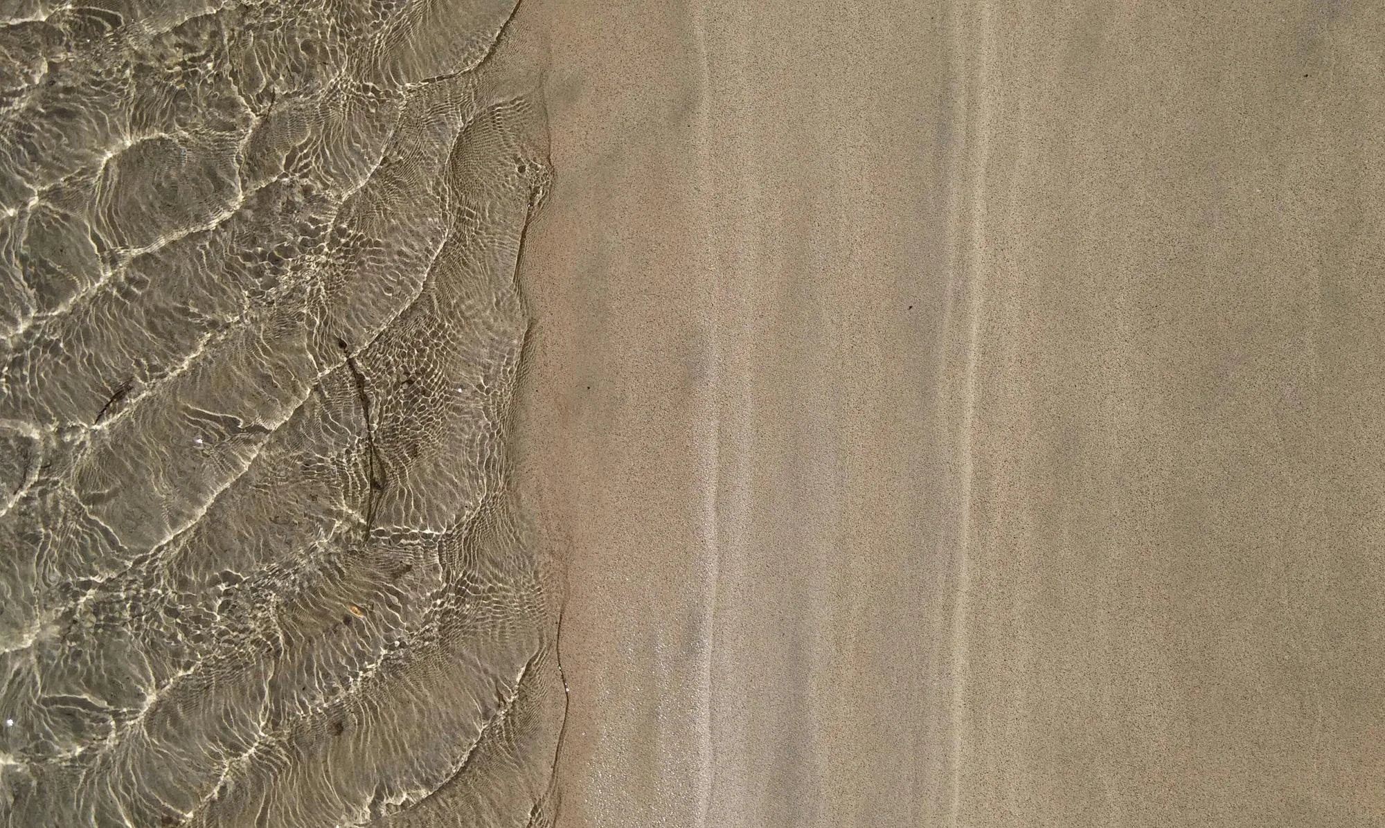 Photo of the ocean shoreline with gentle waves lapping onto the sandy beach.