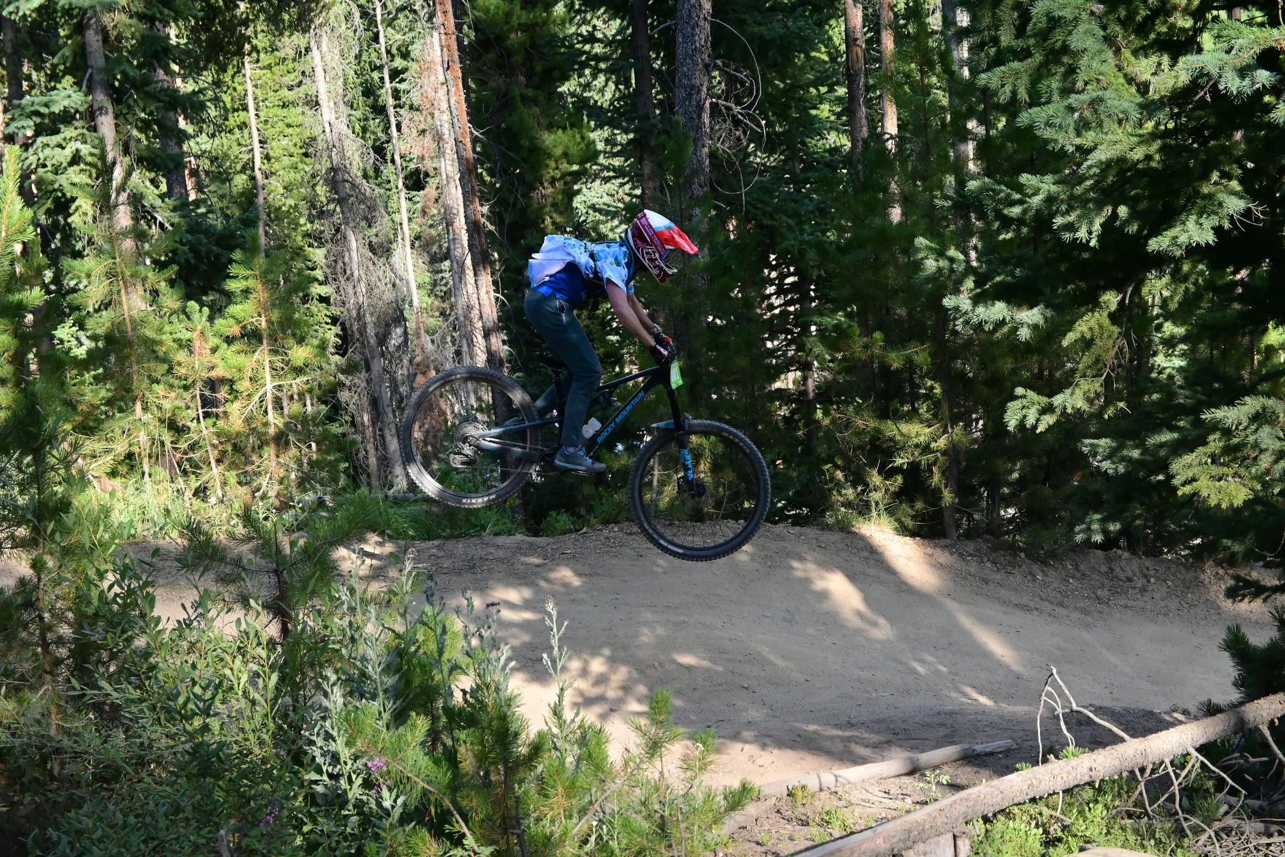 A person riding a mountain bike on a dirt trail through a forest with tall green pine trees.
