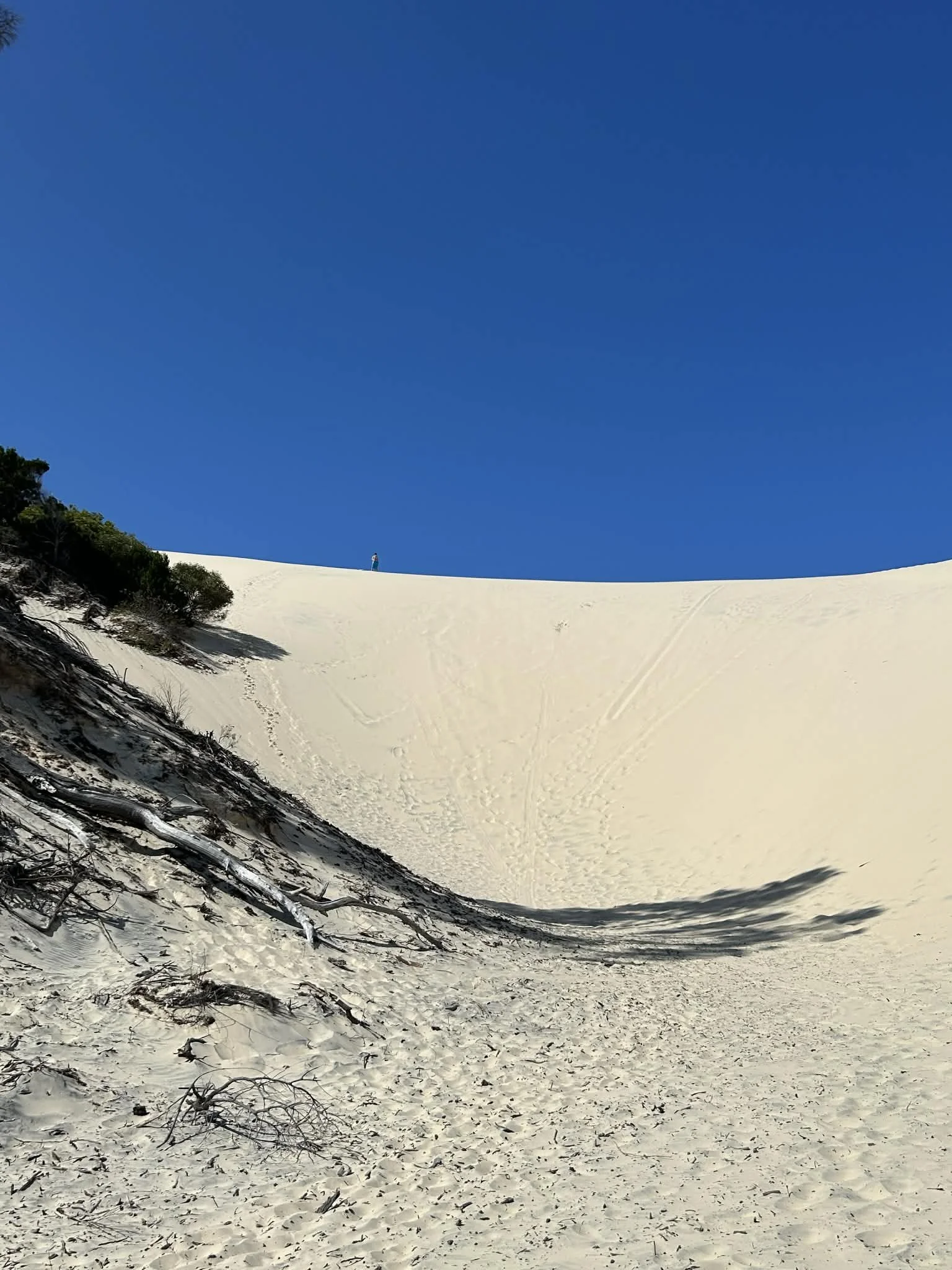 Big Sand Dunes