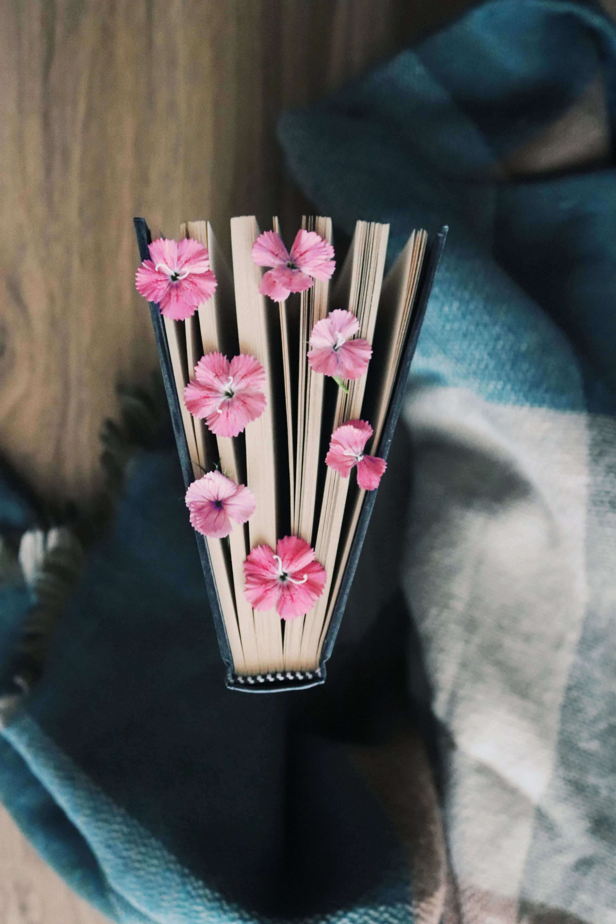Pink flowers tucked between the pages of an open book.