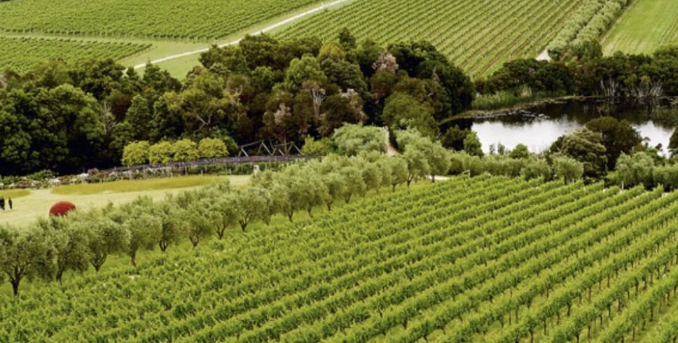 Demonstration, Delivery & Risk Reduction​