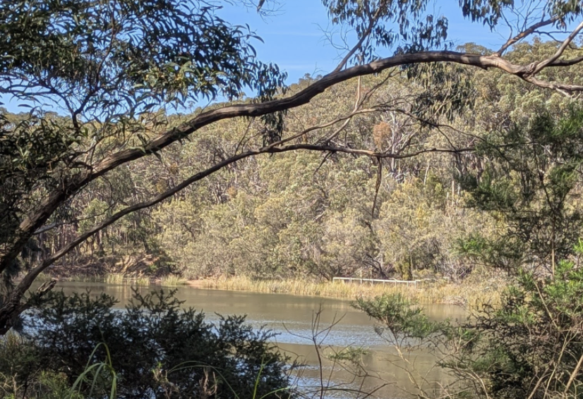 OT Damn Arthurs Seat