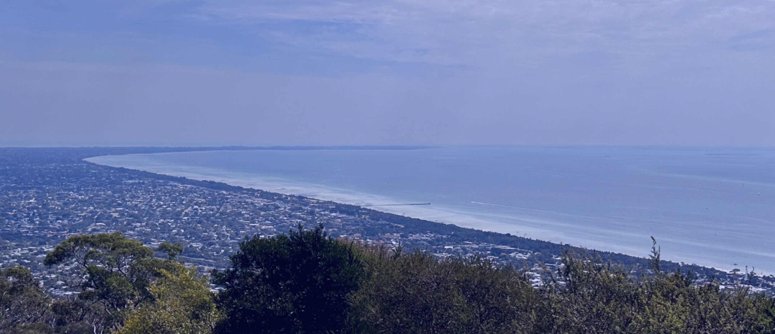 Regenerating Mornington Peninsula Coastal  Image