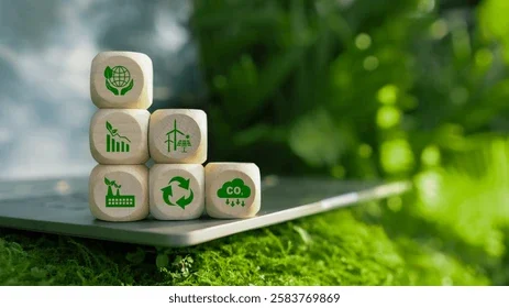 Strategy, Redesign and Transition