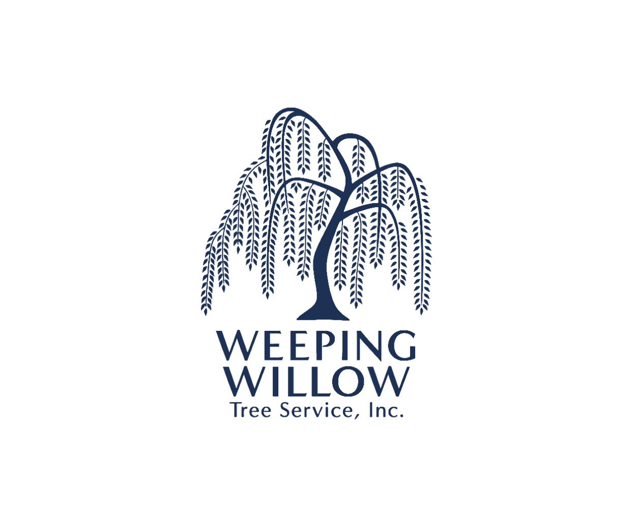 Weeping Willow Tree Service