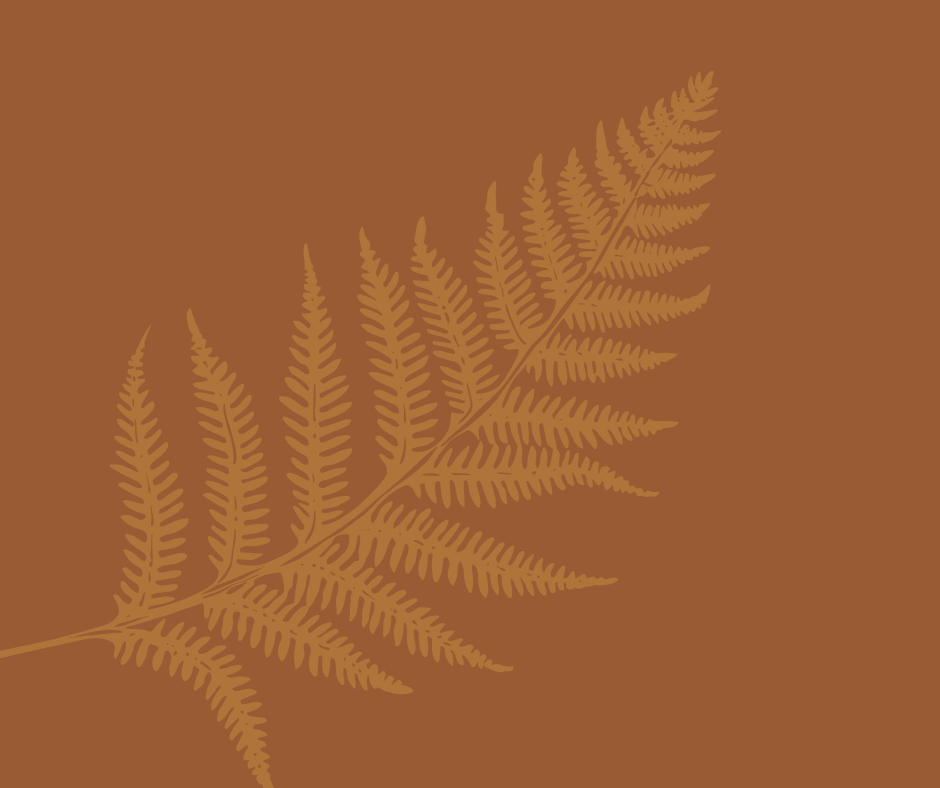 Illustration of a brown fern leaf on a brown background.
