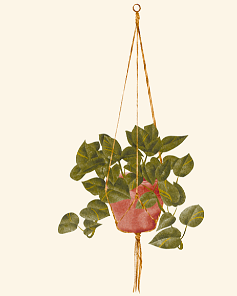 Hanging planter with green ivy plant in a pink pot and a tassel at the bottom.