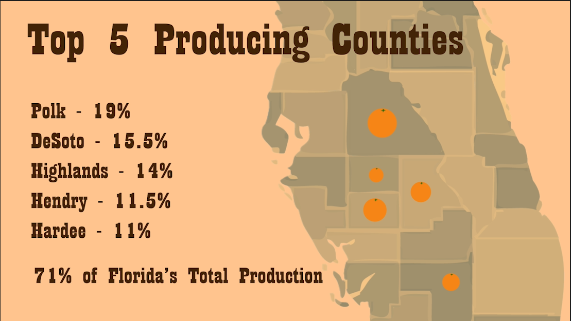 Screenshot 2026-01-08 173419.png