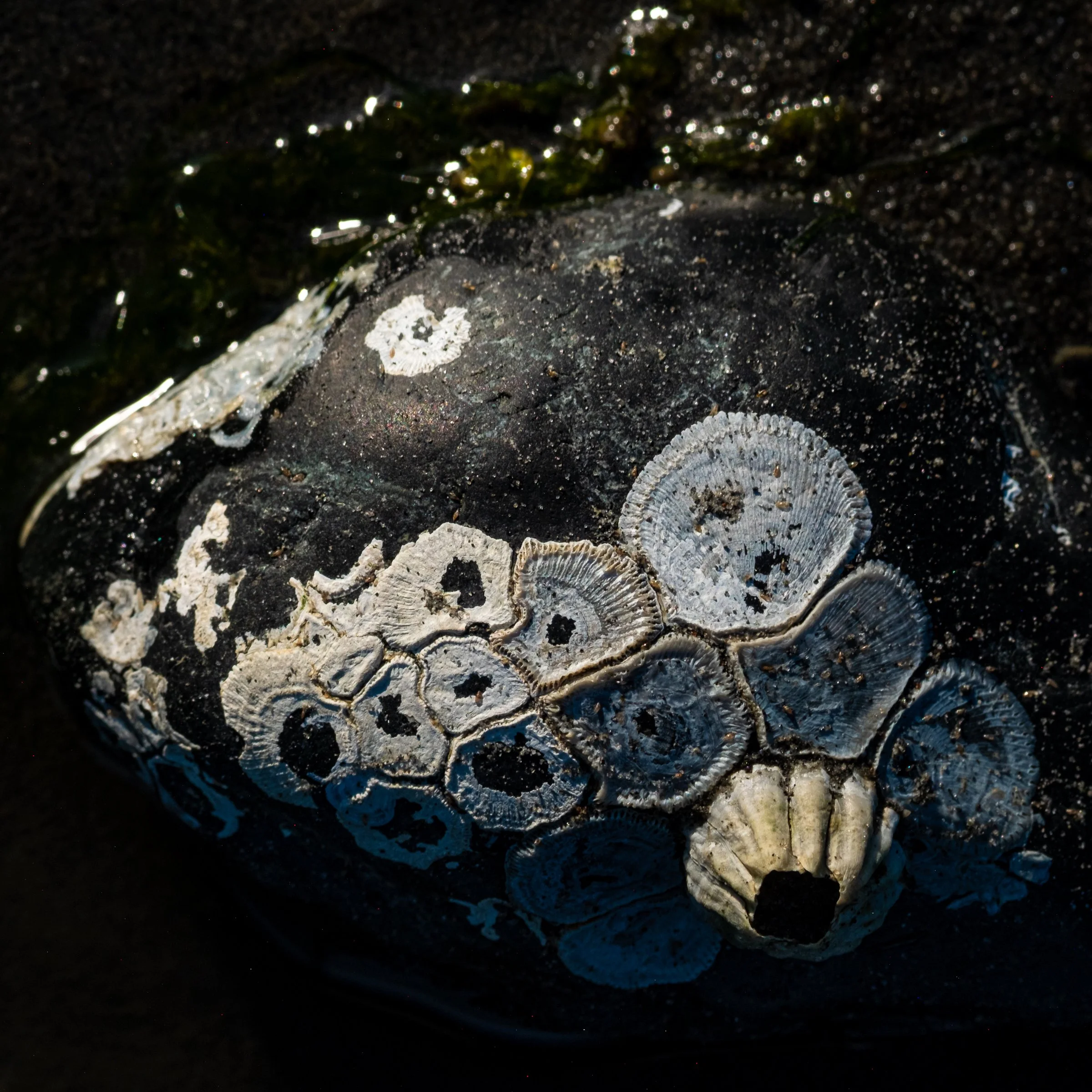 DSCF3749.jpg
