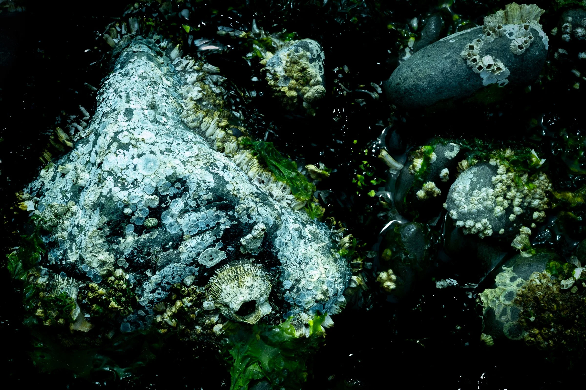 DSCF3585.jpg