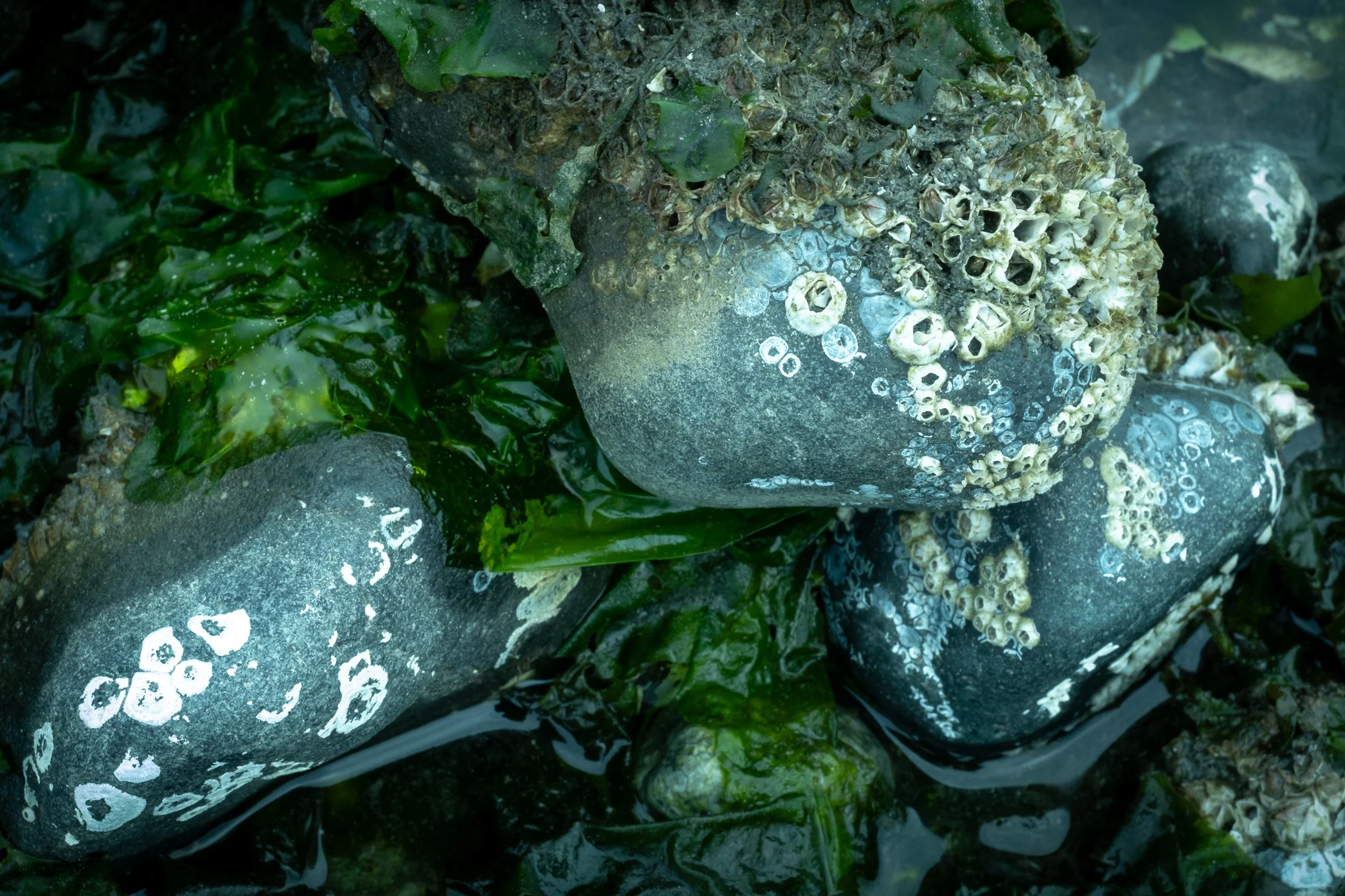 DSCF3558.jpg