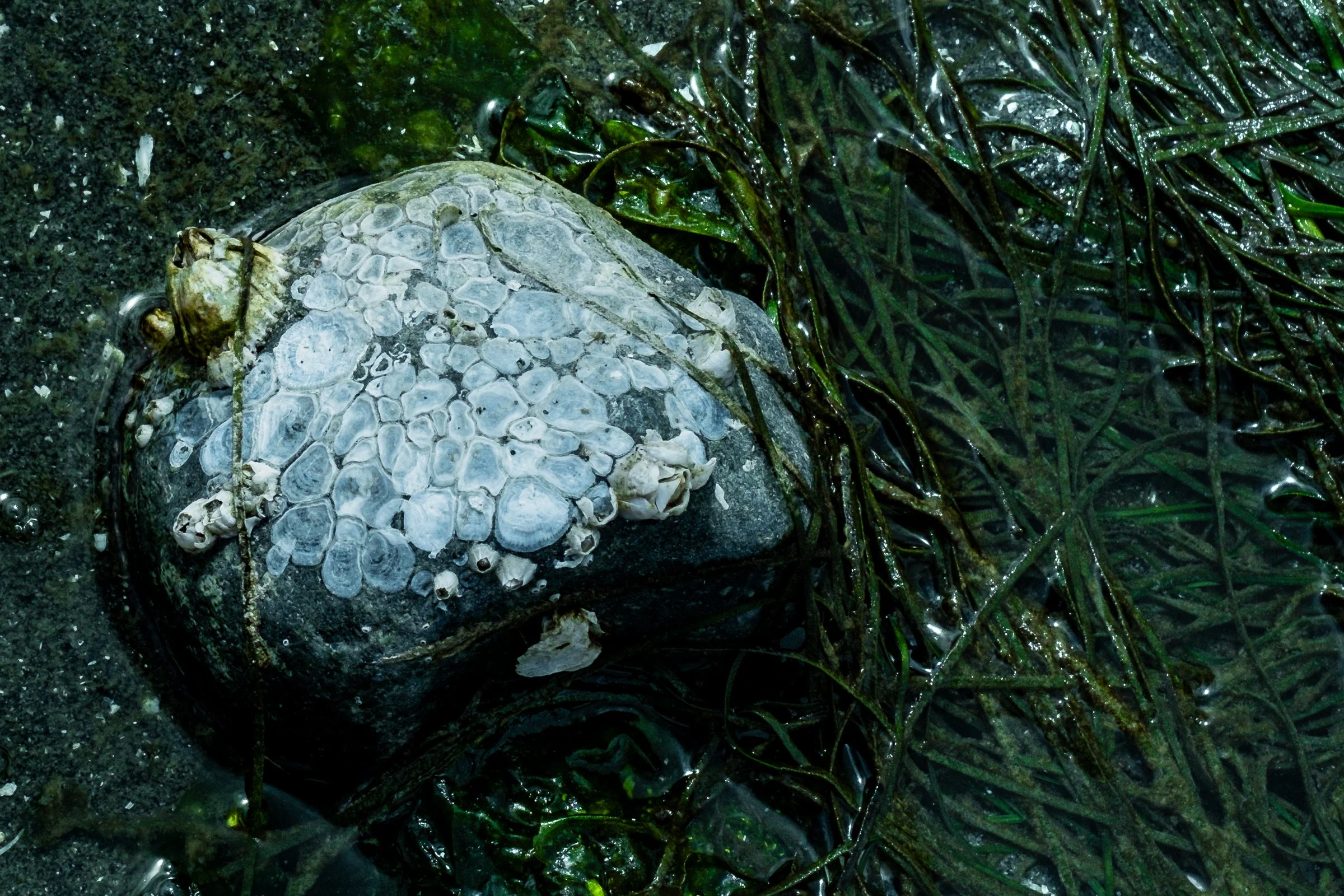 DSCF3583.jpg
