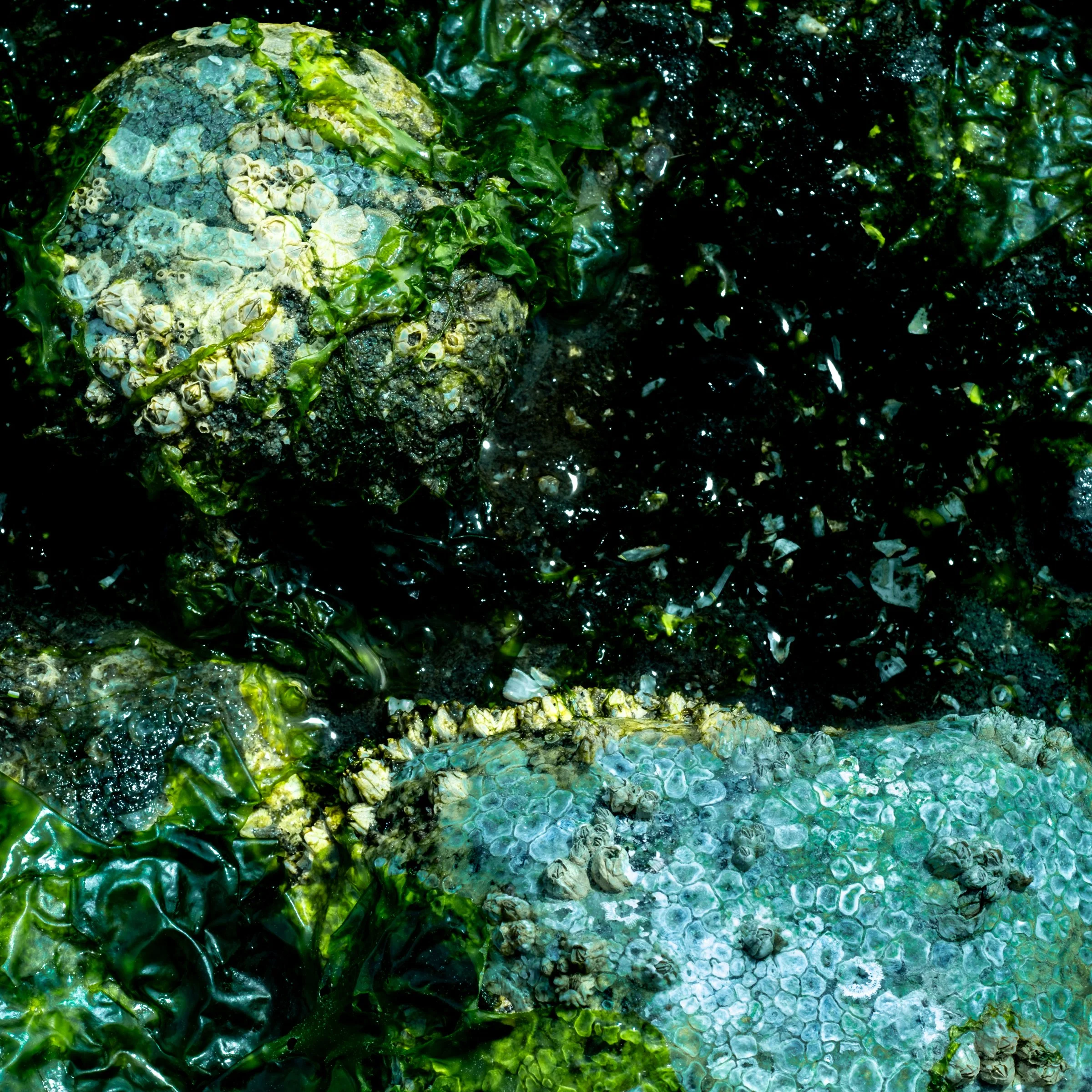 DSCF3574.jpg