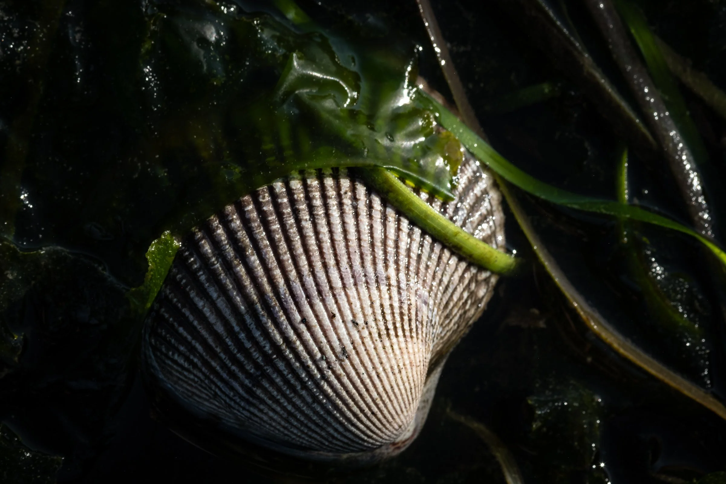 DSCF3756.jpg