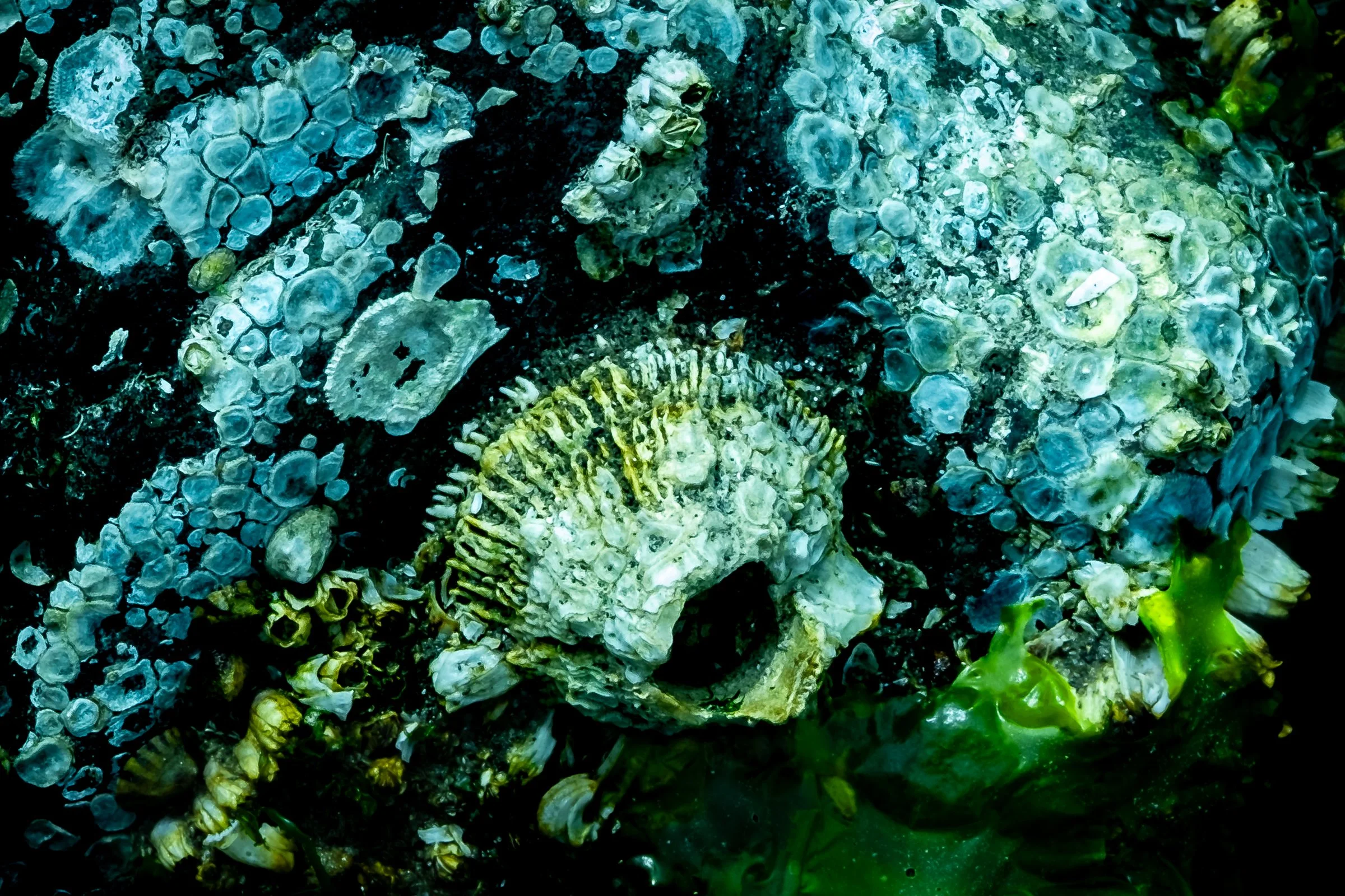DSCF3585-2.jpg