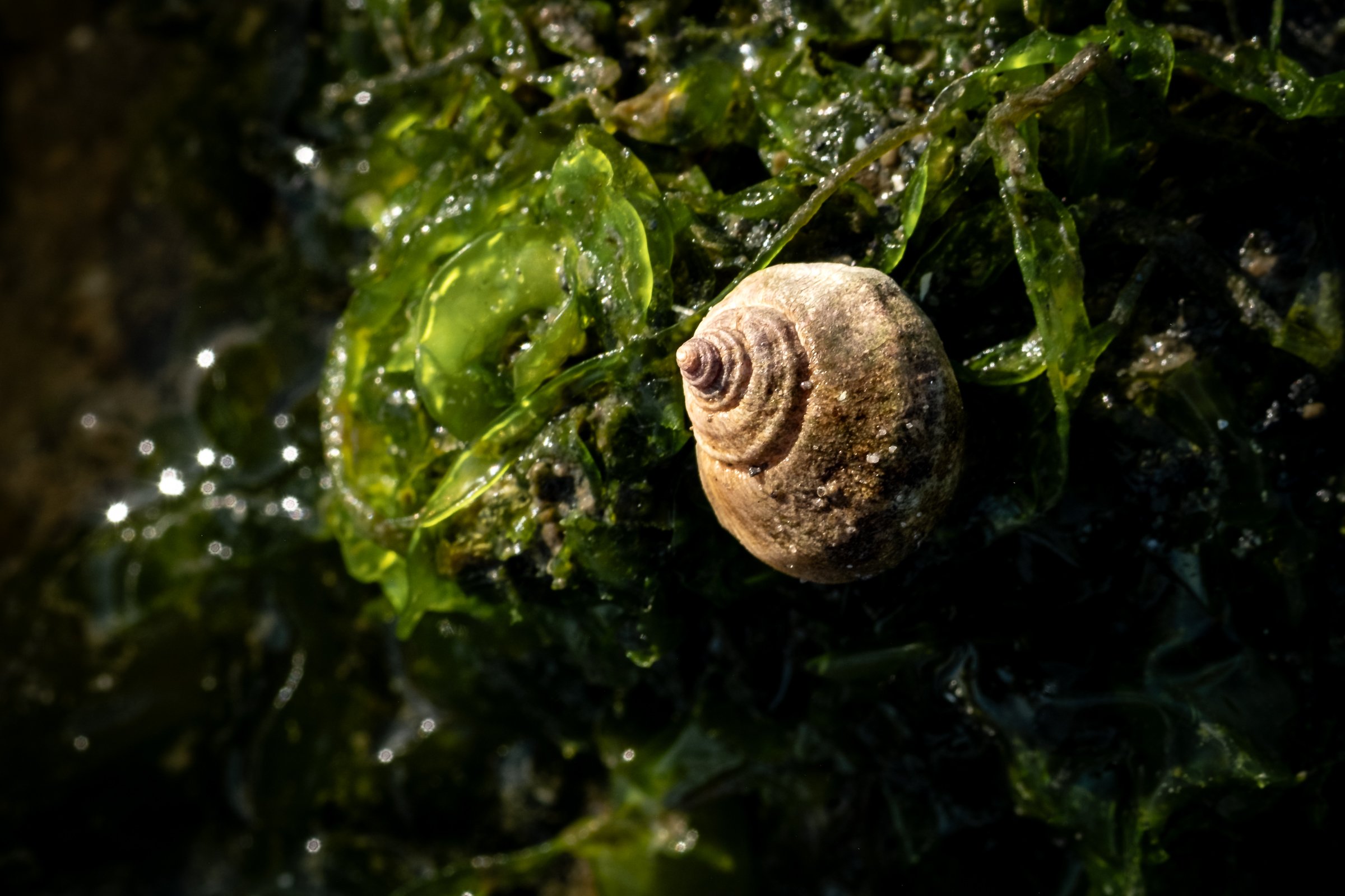 DSCF3752.jpg