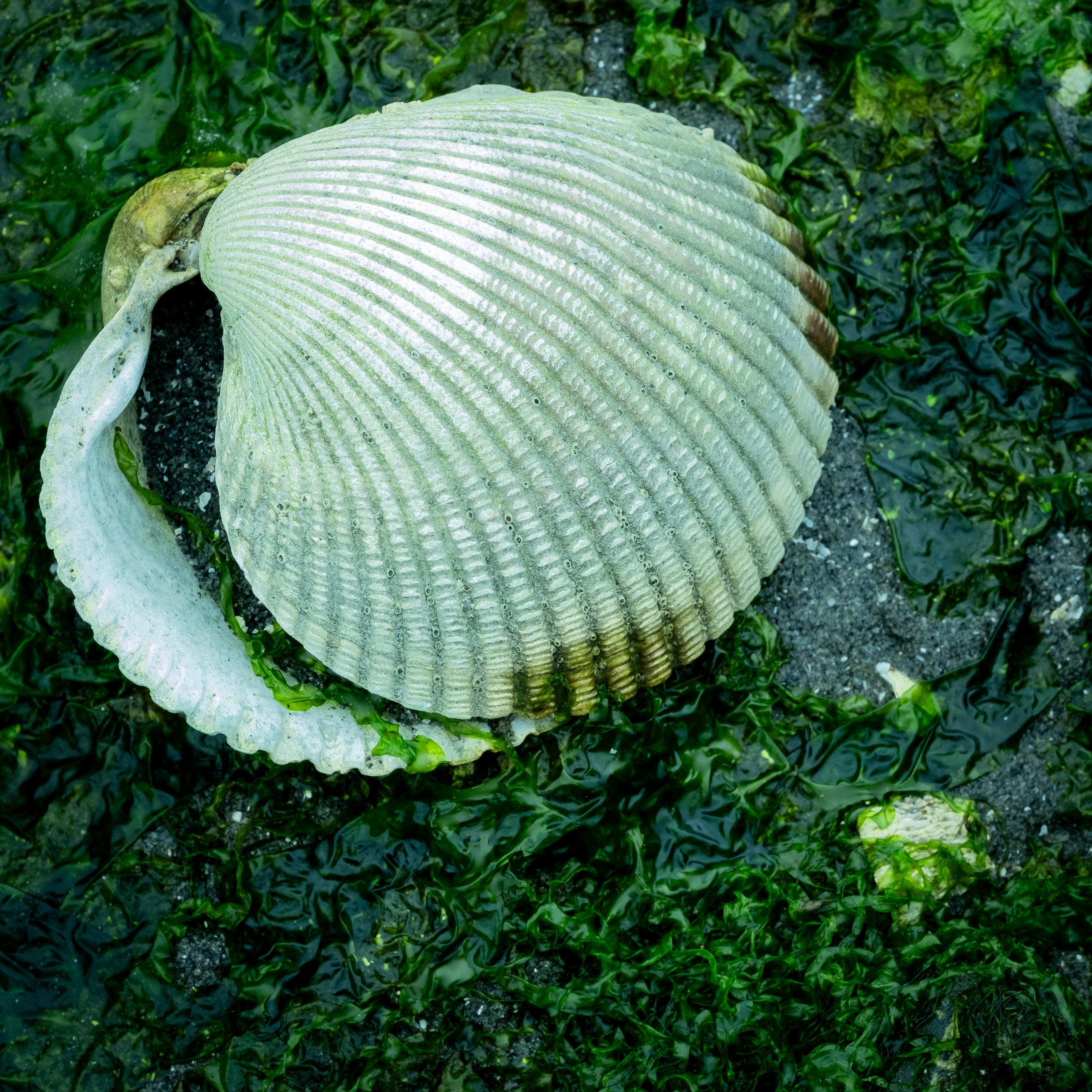 DSCF3562.jpg
