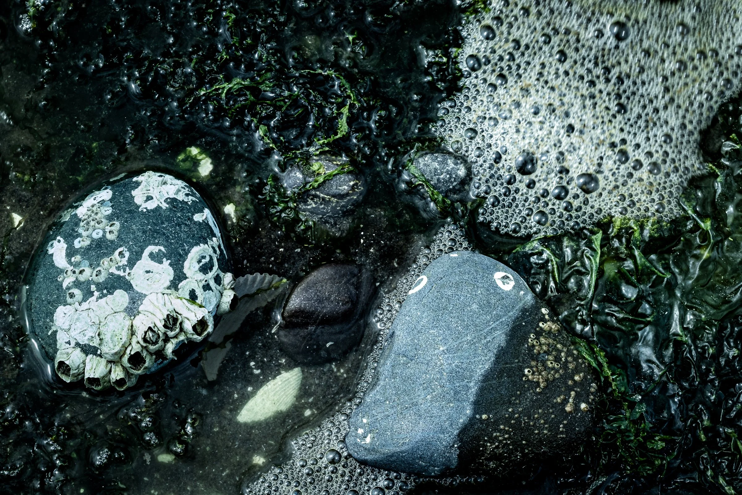 DSCF3581.jpg