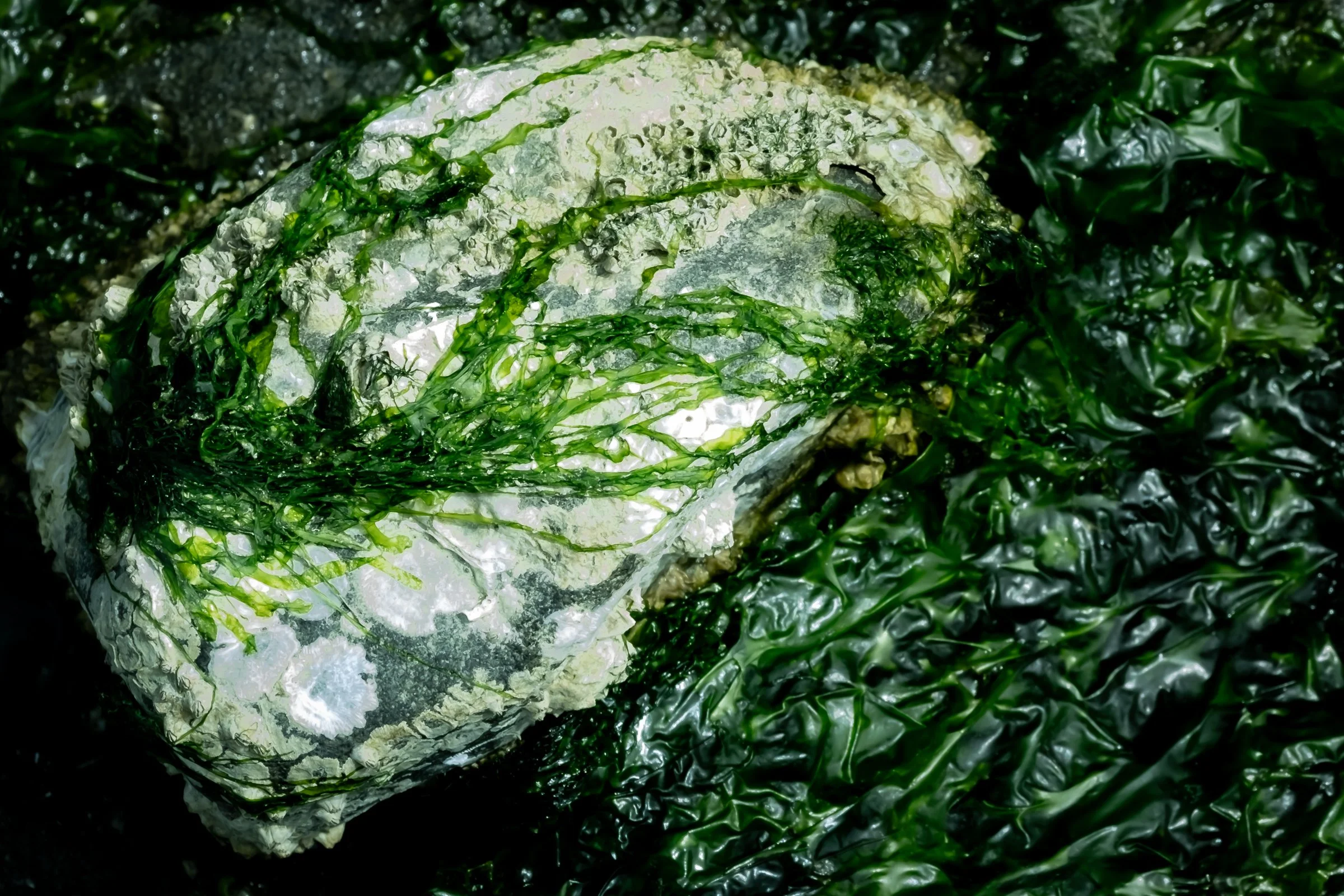 DSCF3570.jpg