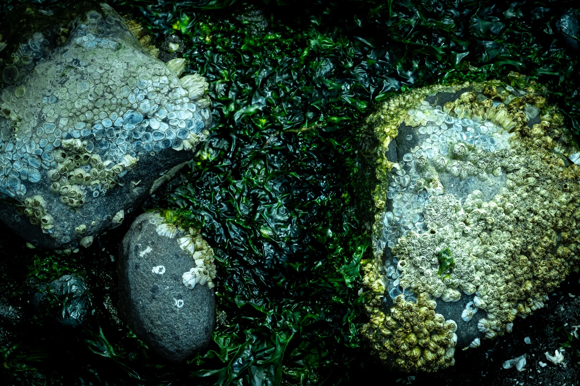 DSCF3572.jpg