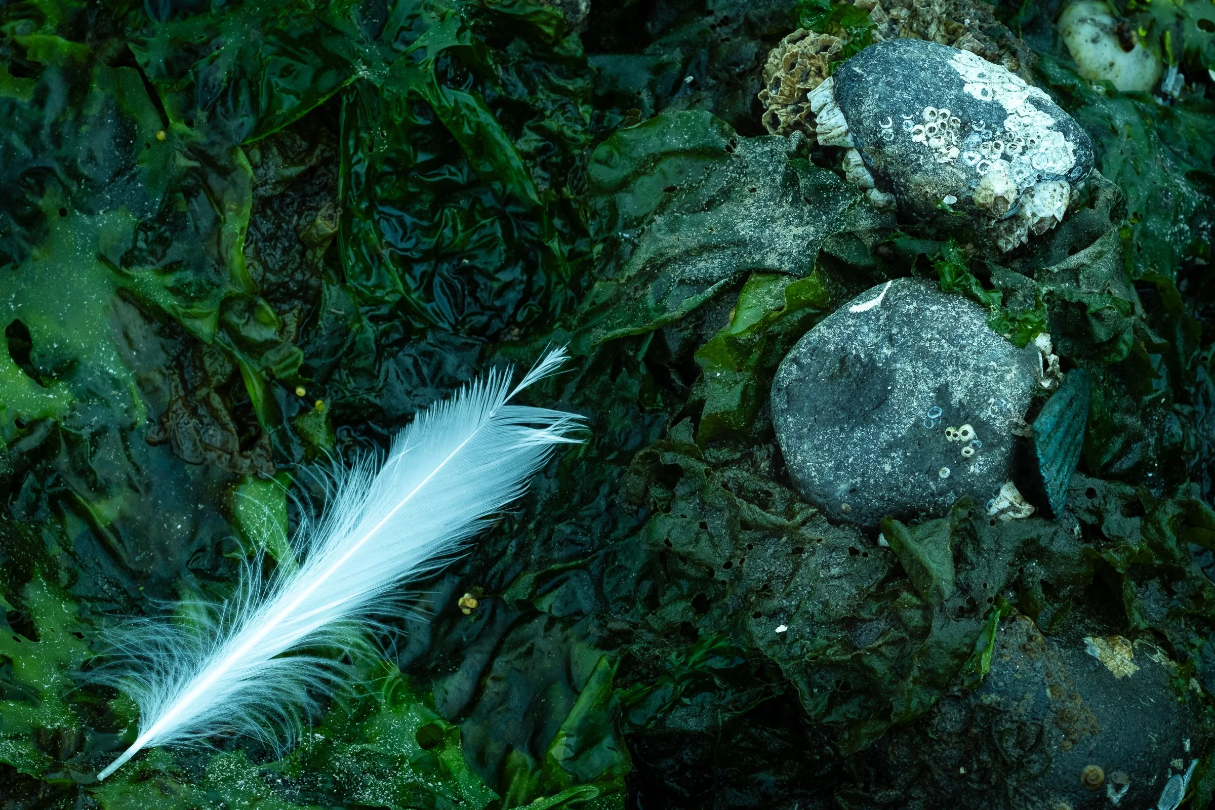 DSCF3559.jpg
