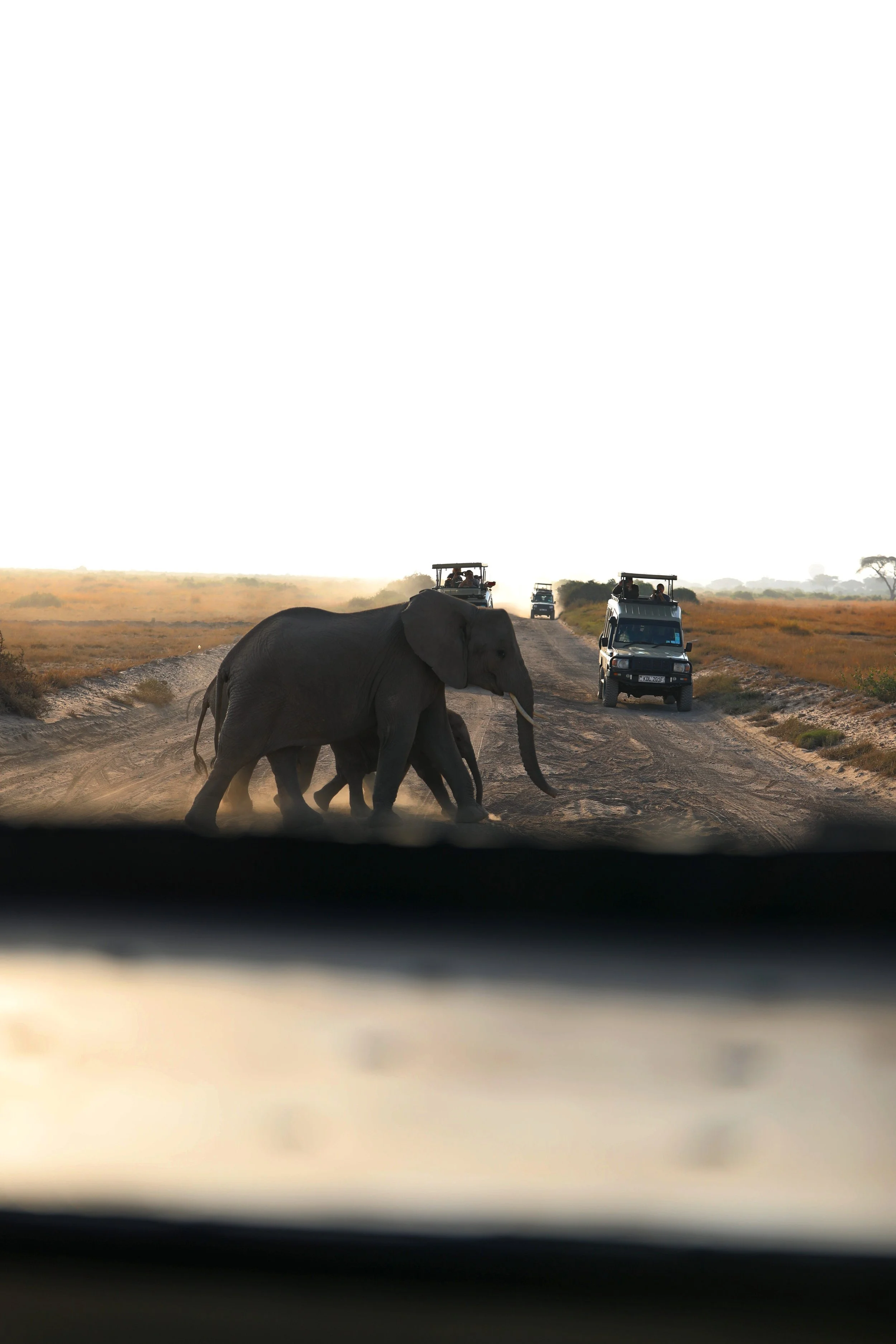A herd of elephants crossing a dirt road in a savanna, with safari vehicles in the background.